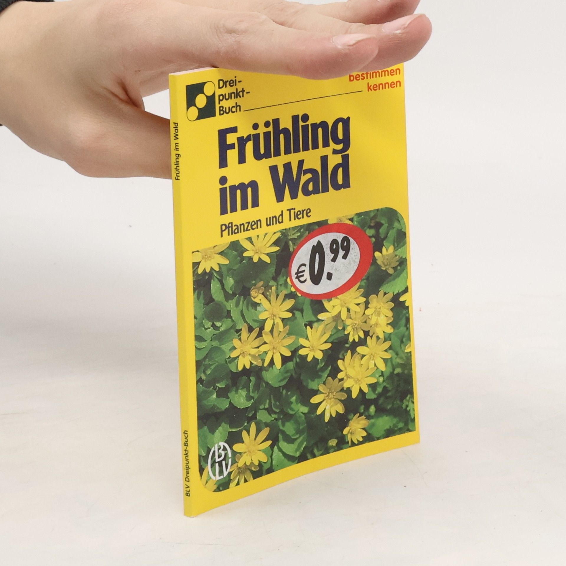 Dorothee Eisenreich Frühling im Wald