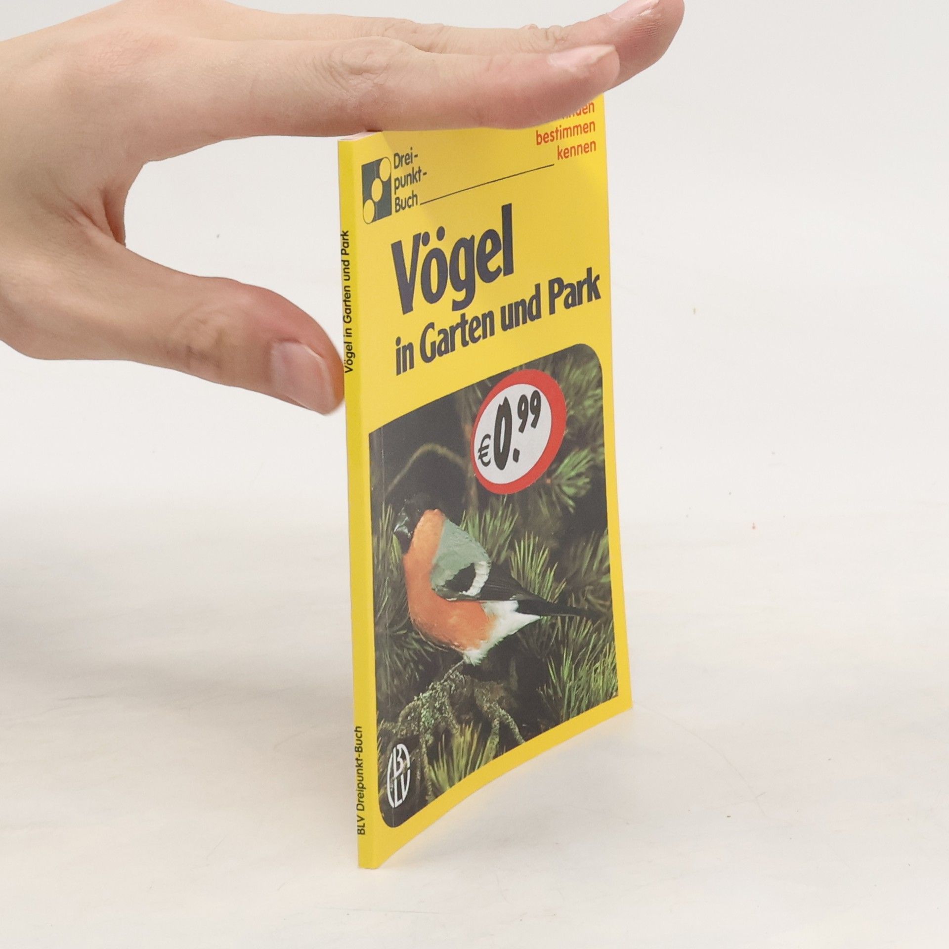 Autorenkollektiv Vögel in Garten und Park