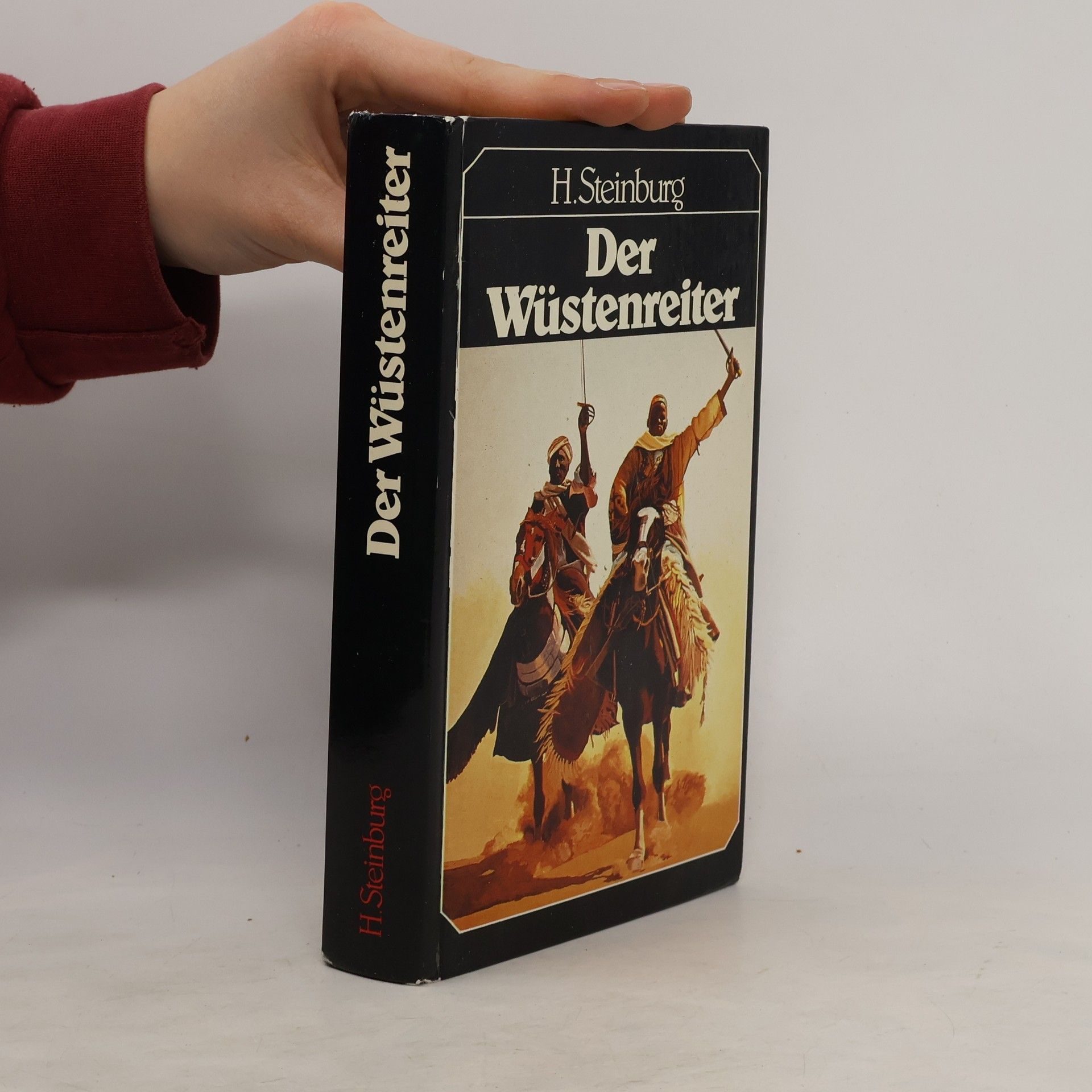 H. Steinburg Der Wüstenreiter