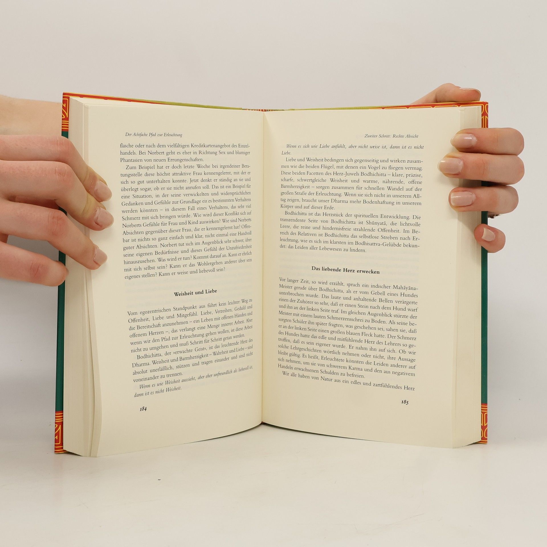 Surya Das Der Achtfache Pfad