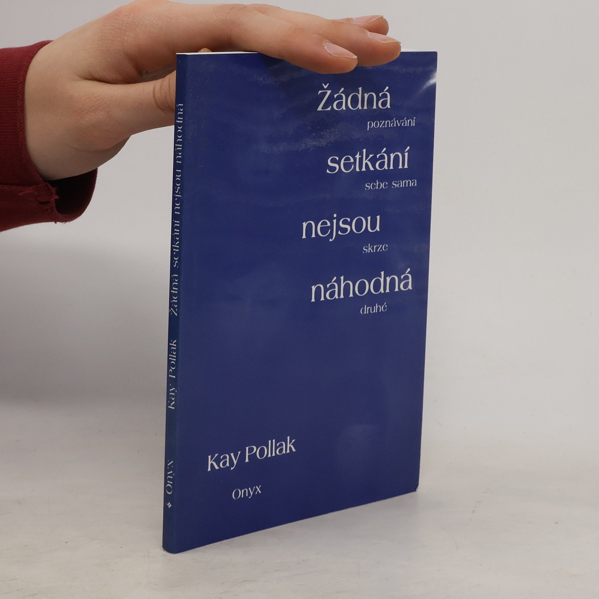 Kay Pollak Žádná setkání nejsou náhodná