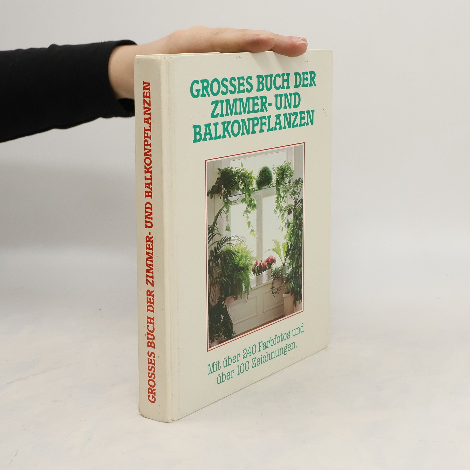 Jürgen Saupe Grosses Buch der Zimmer- und Balkonpflanzen