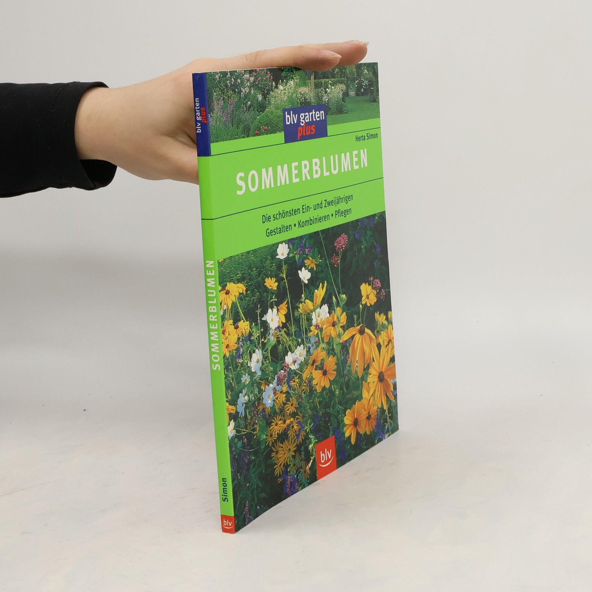 Herta Simon Sommerblumen