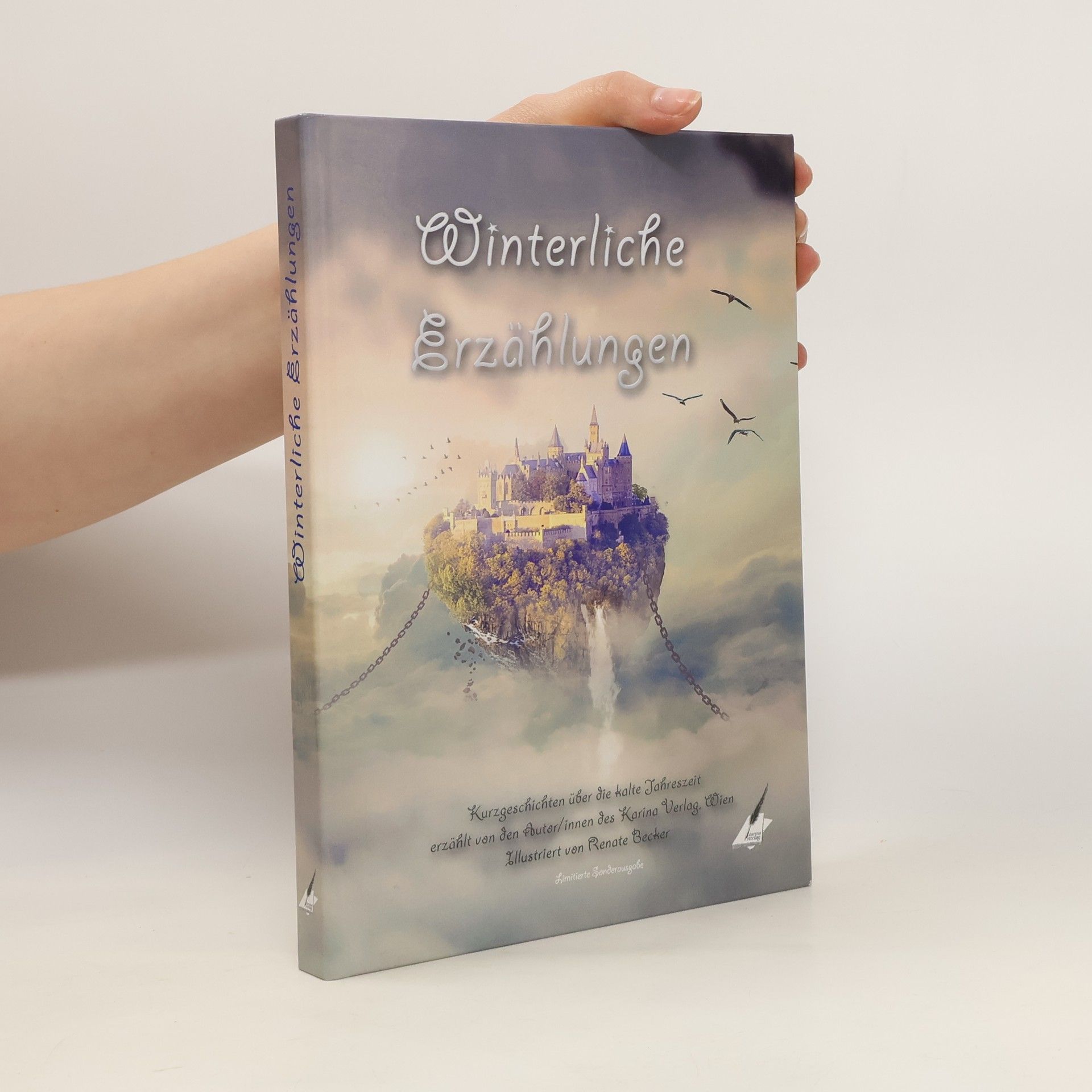 Autorenkollektiv Winterliche Erzählungen