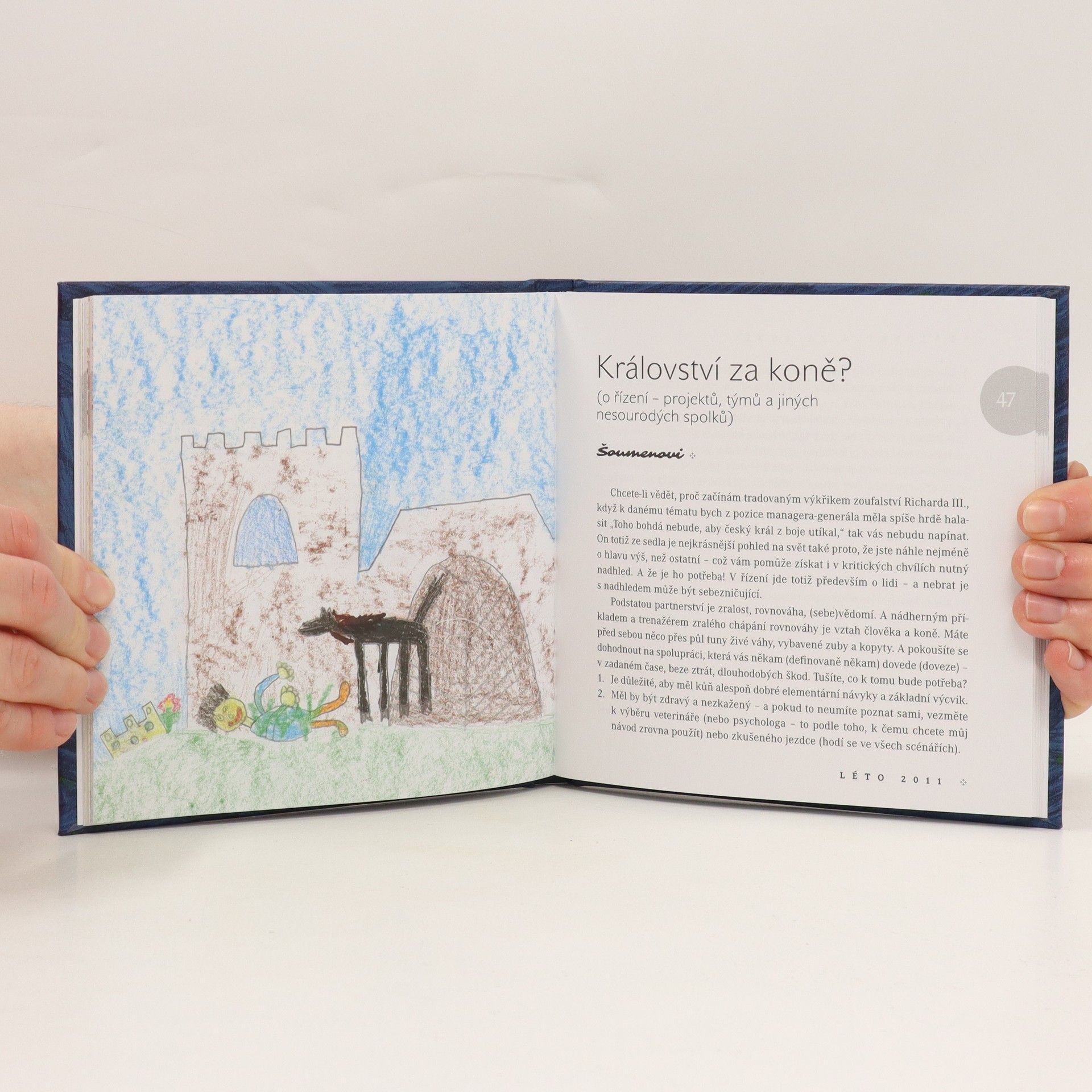 Darina Vodrážková Chvála bláznivosti