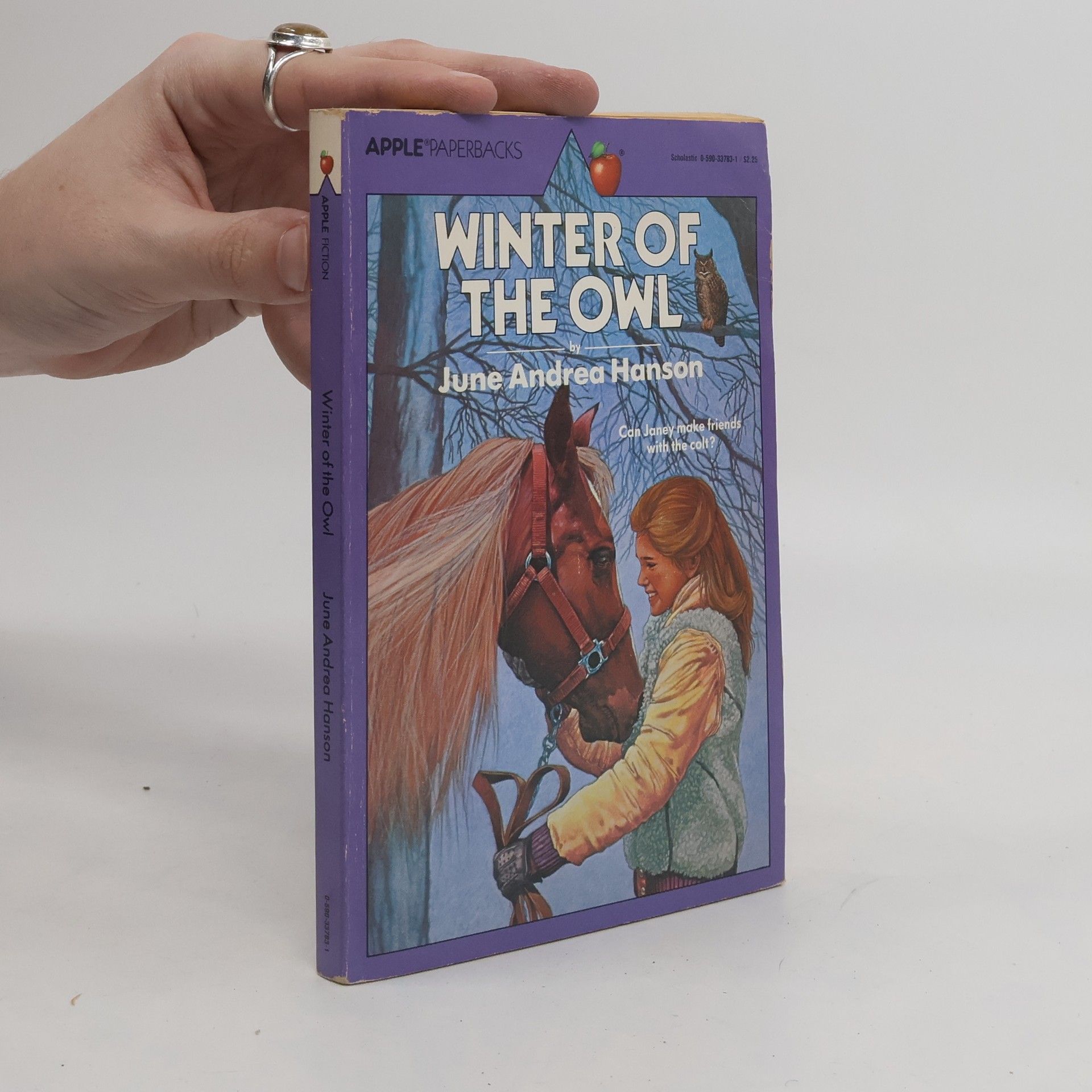 June Andrea Hanson Winter of the Owl
