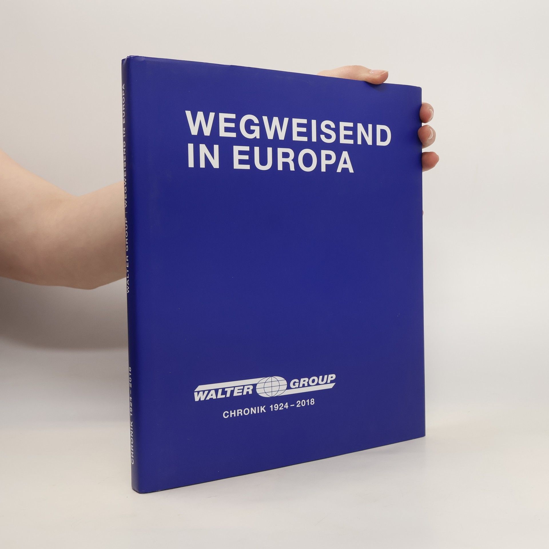 Kolektiv autorů Wegweisend in Europa