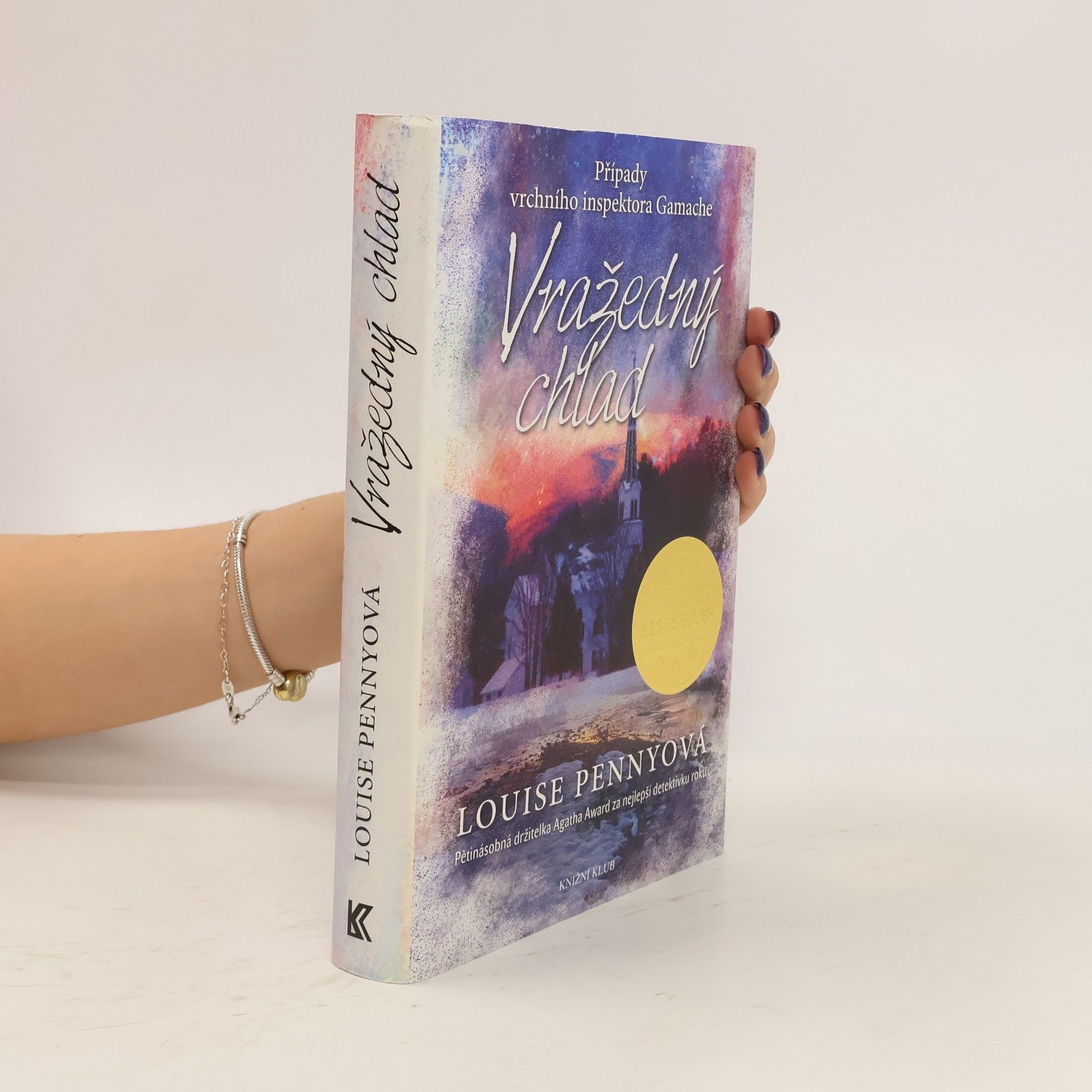 Louise Penny Vražedný chlad