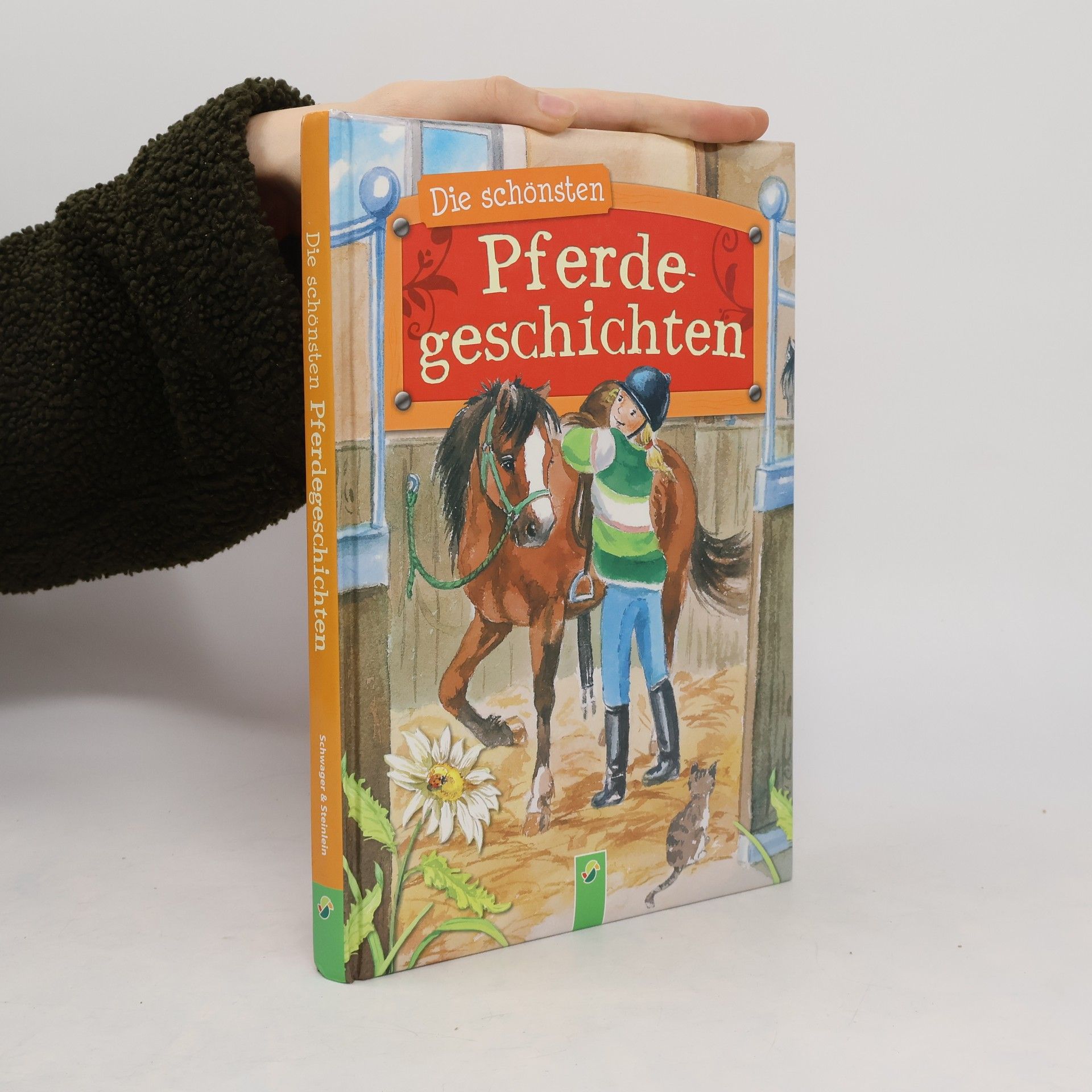 Autorenkollektiv Die schönsten Pferdegeschichten