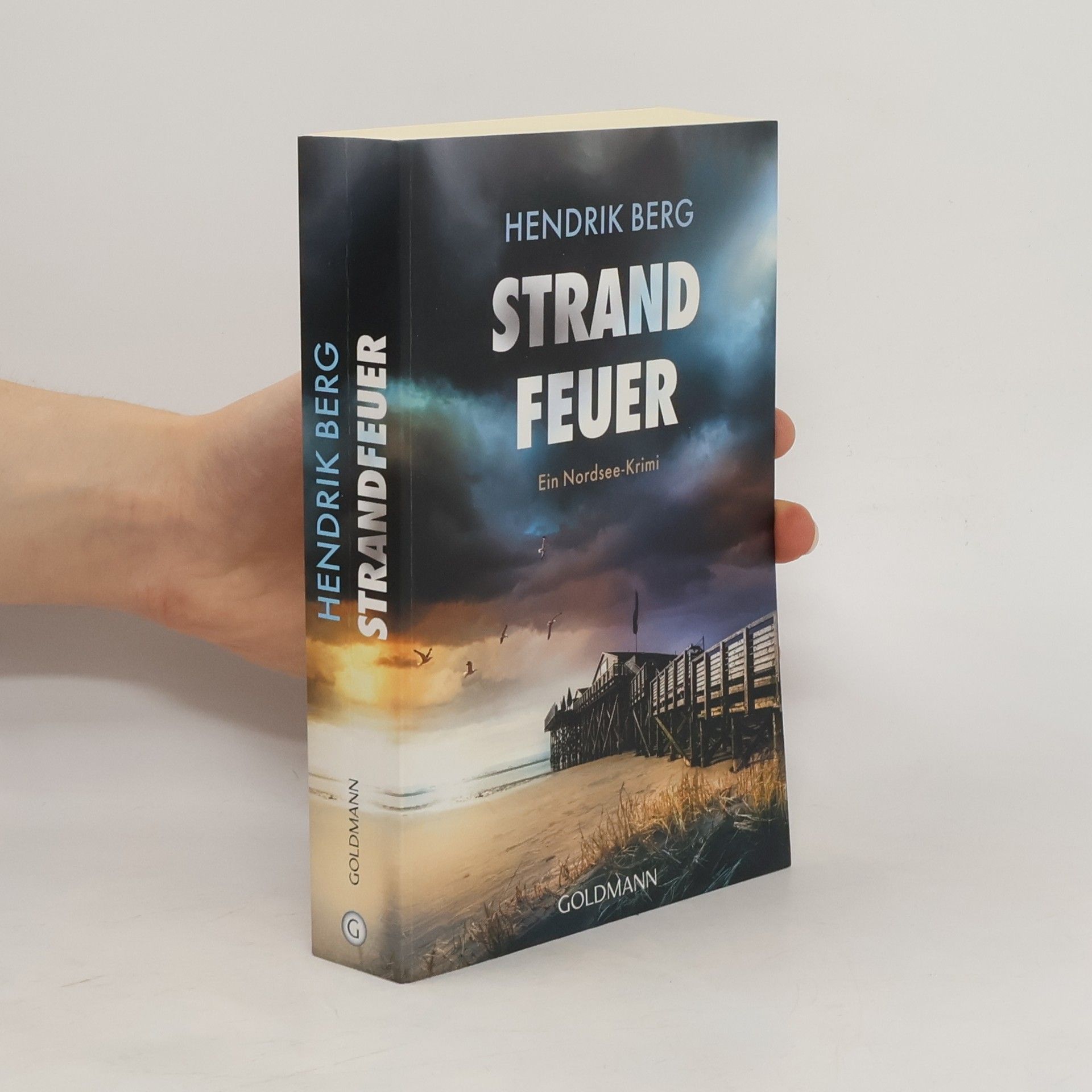 Hendrik Berg Strandfeuer