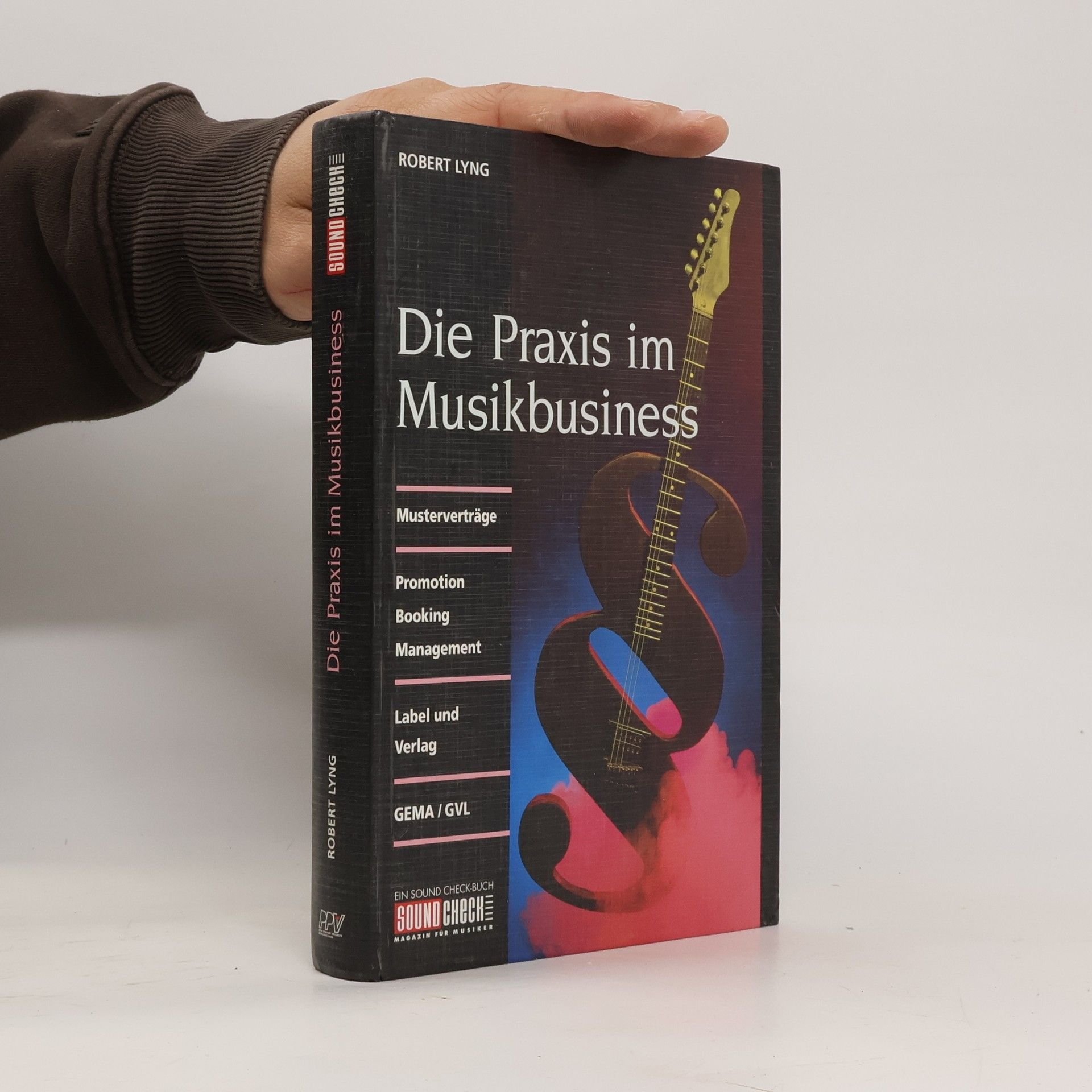 Robert Lyng Die Praxis im Musikbusiness