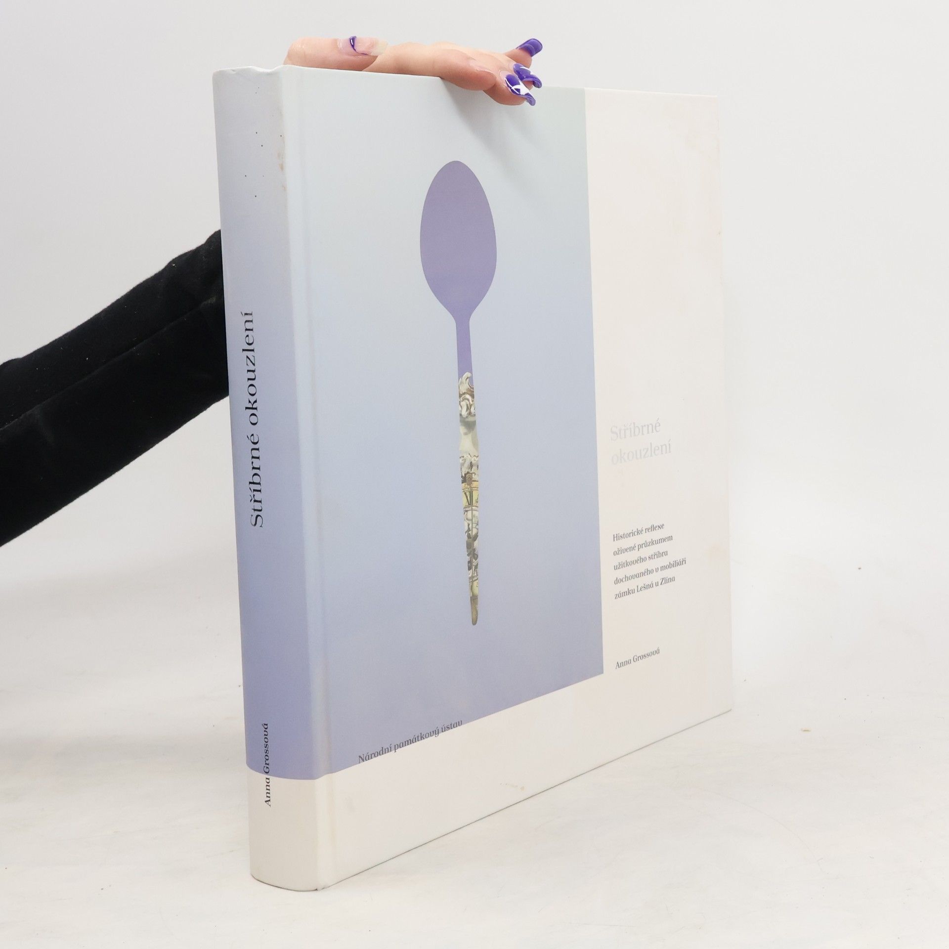 Stříbrné okouzlení