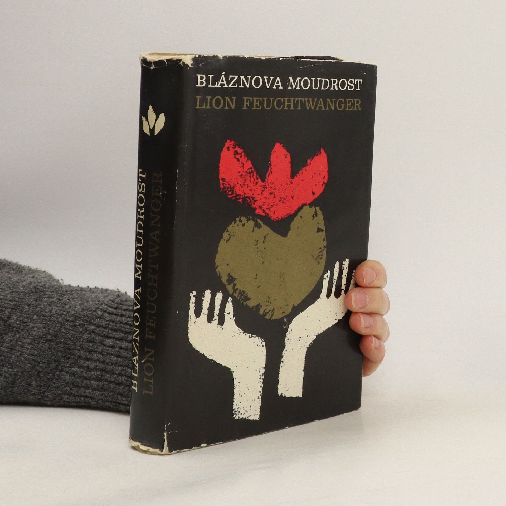 Lion Feuchtwanger Bláznova moudrost