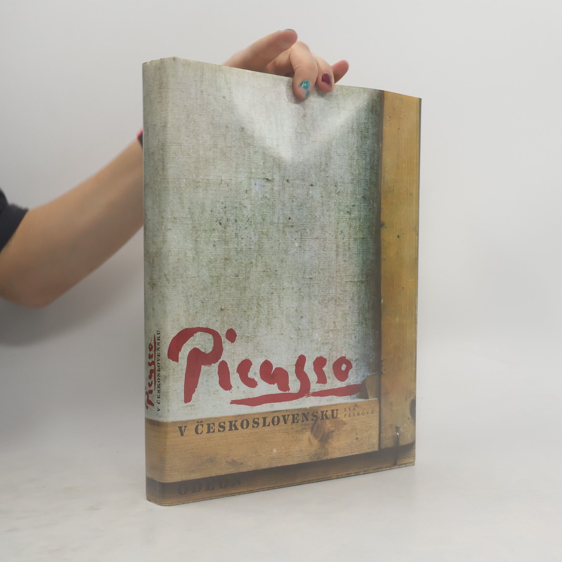 Eva Petrová Picasso v Československu