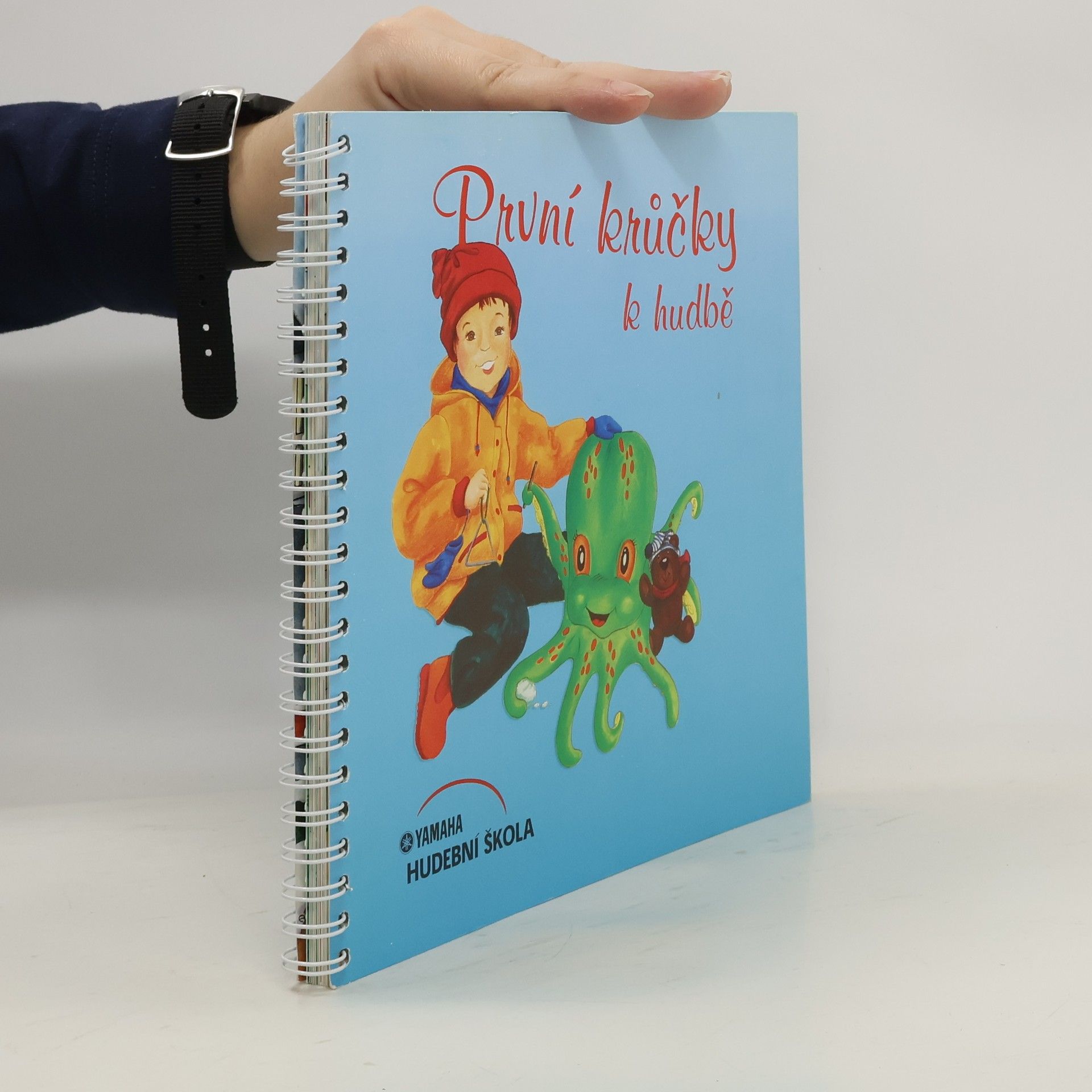 Various authors První krůčky k hudbě