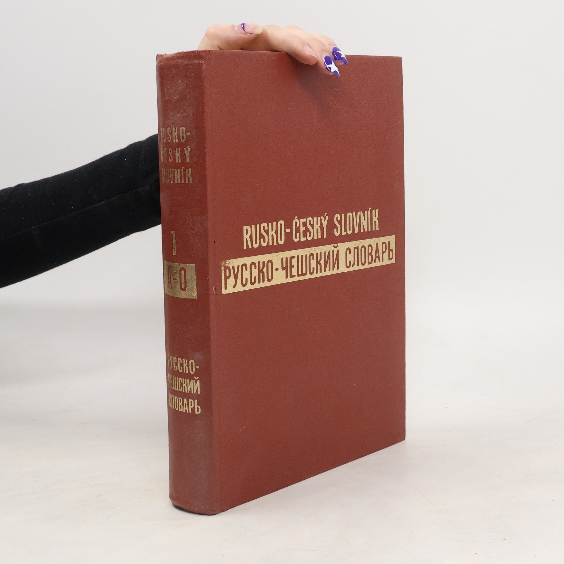 Collectif d'auteurs Rusko-český slovník. РУССКО-ЧЕШСКИЙ СЛОВАРЬ. A-O