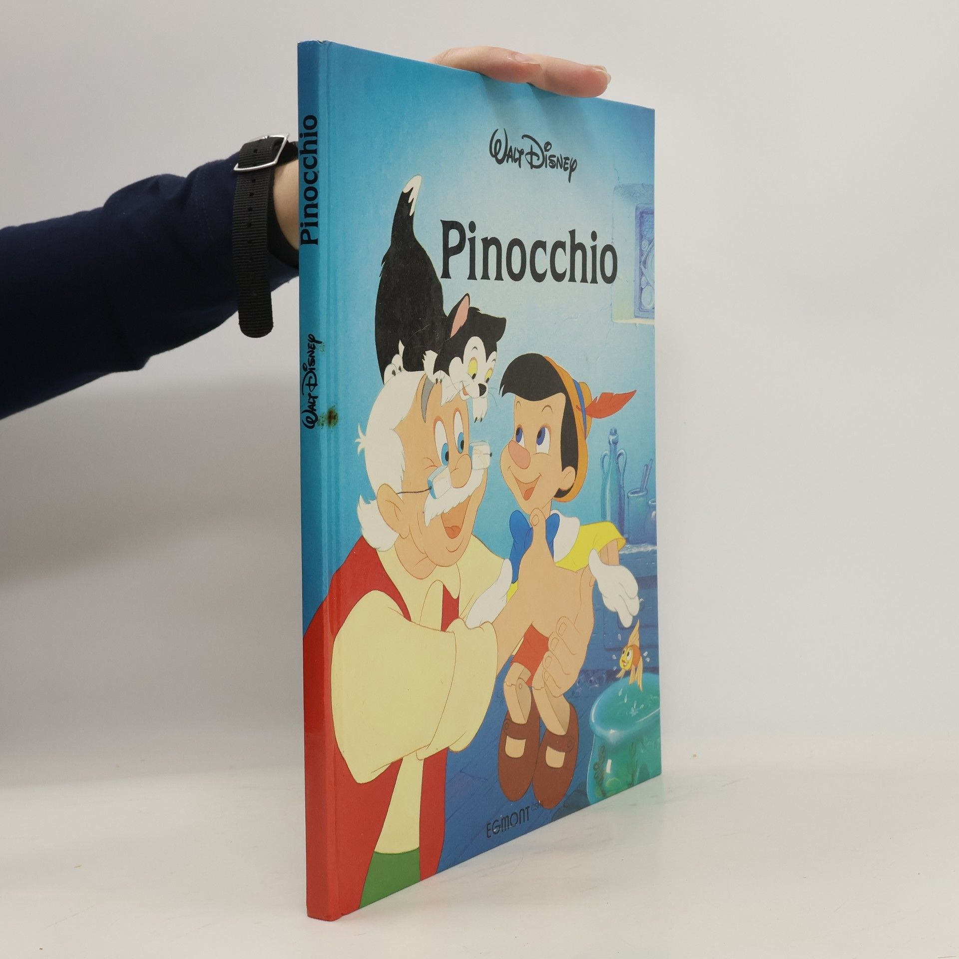 kolektiv Pinocchio