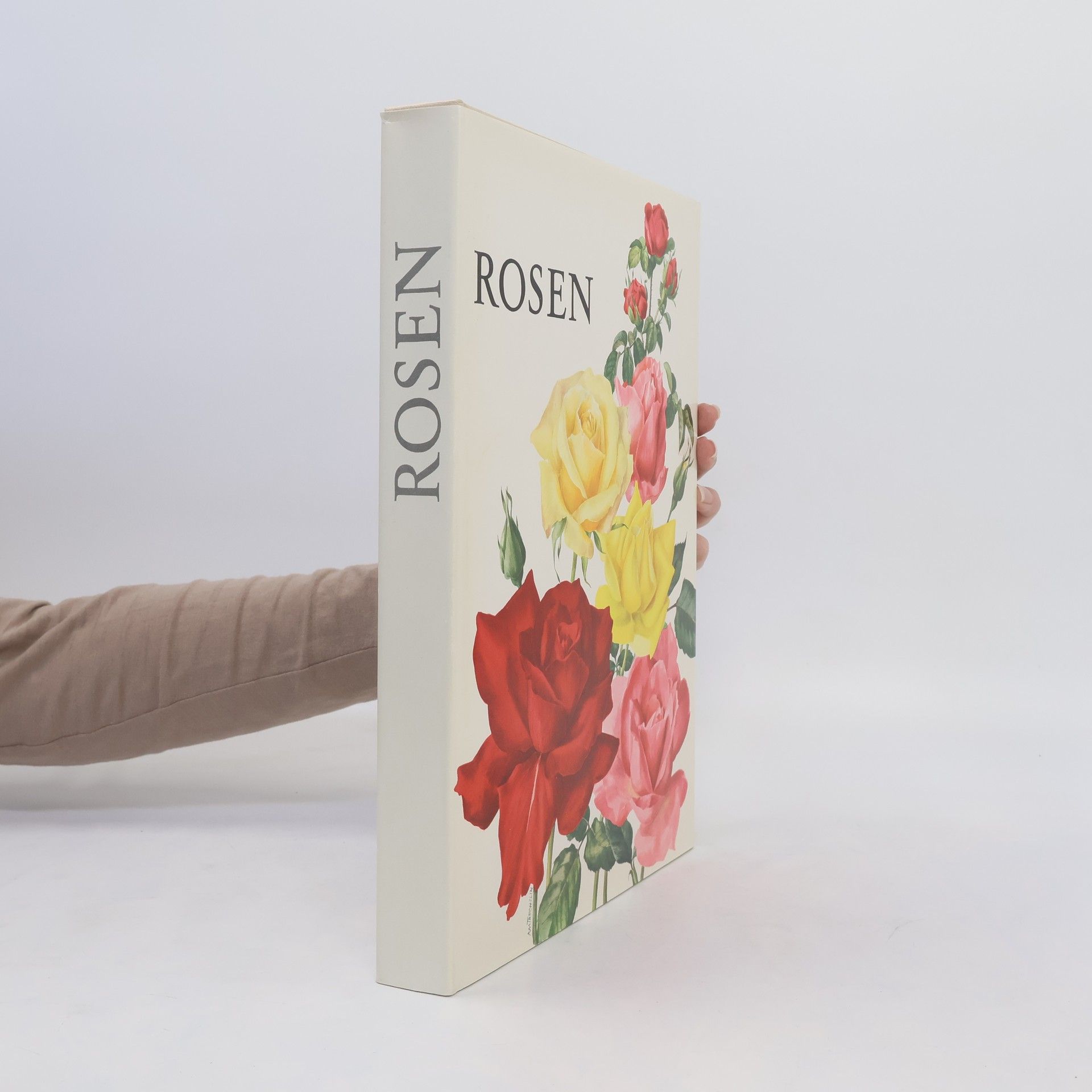 kolektiv Rosen