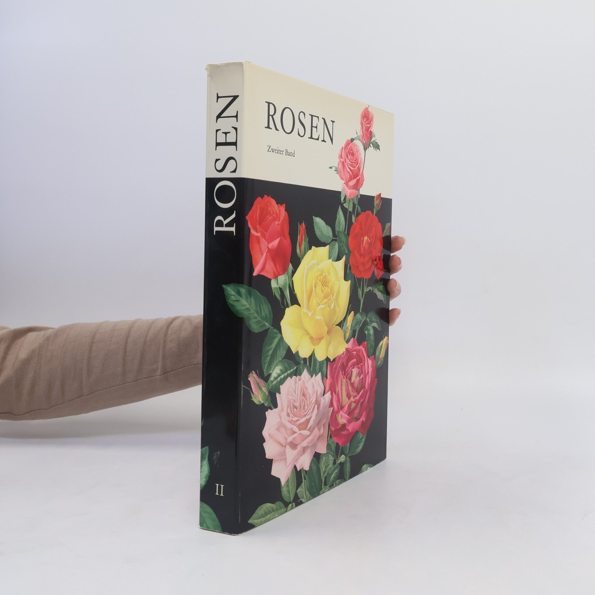 kolektiv Rosen II