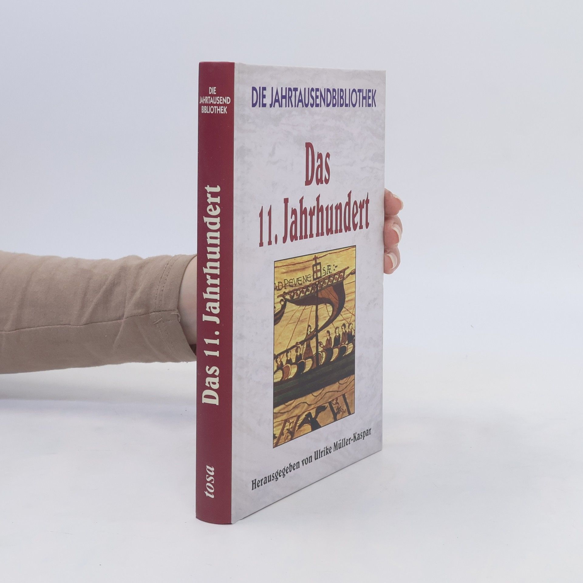 Robert Kaspar Das 11. Jahrhundert