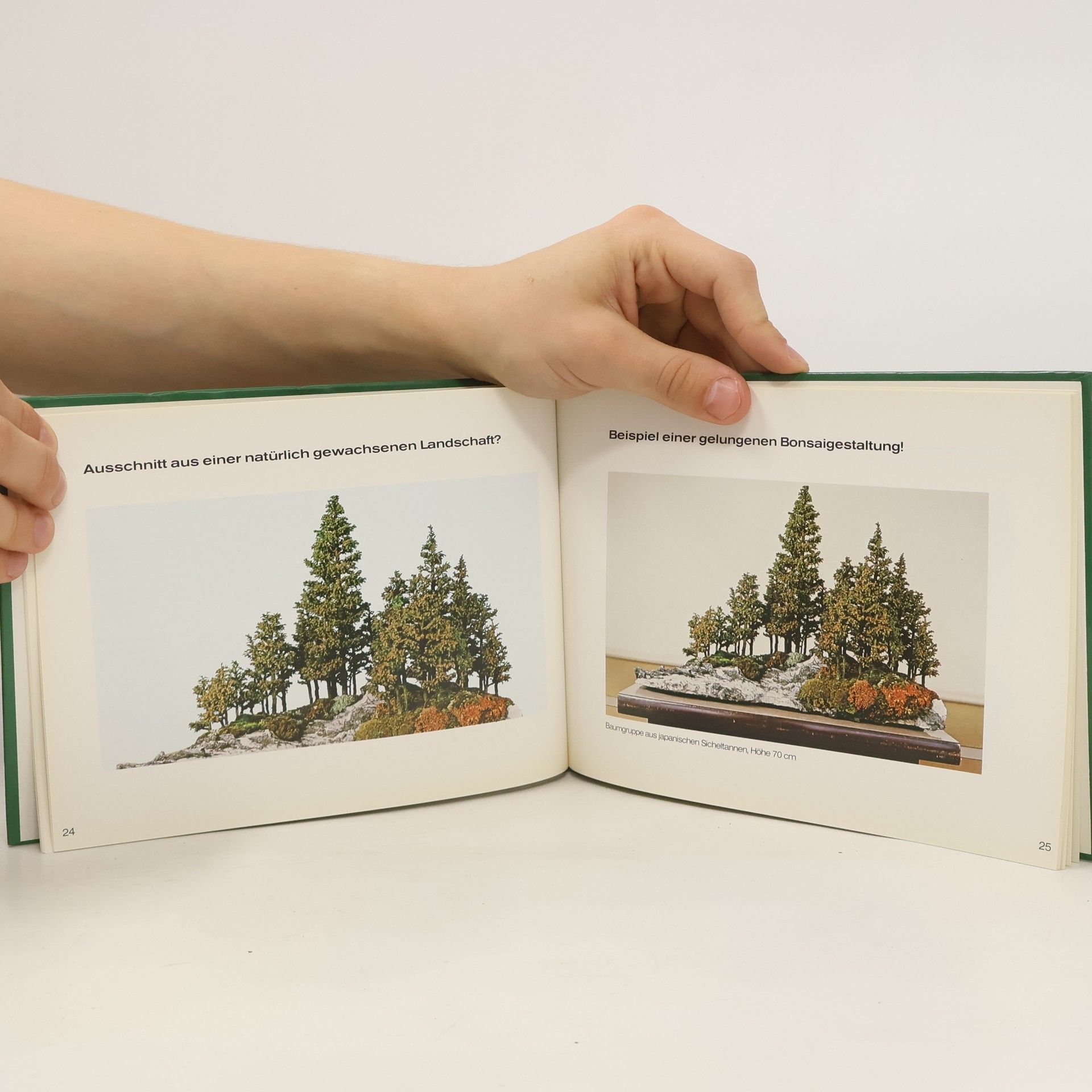 Ilona Lesniewicz Bonsai. Japanische Zwergbäume