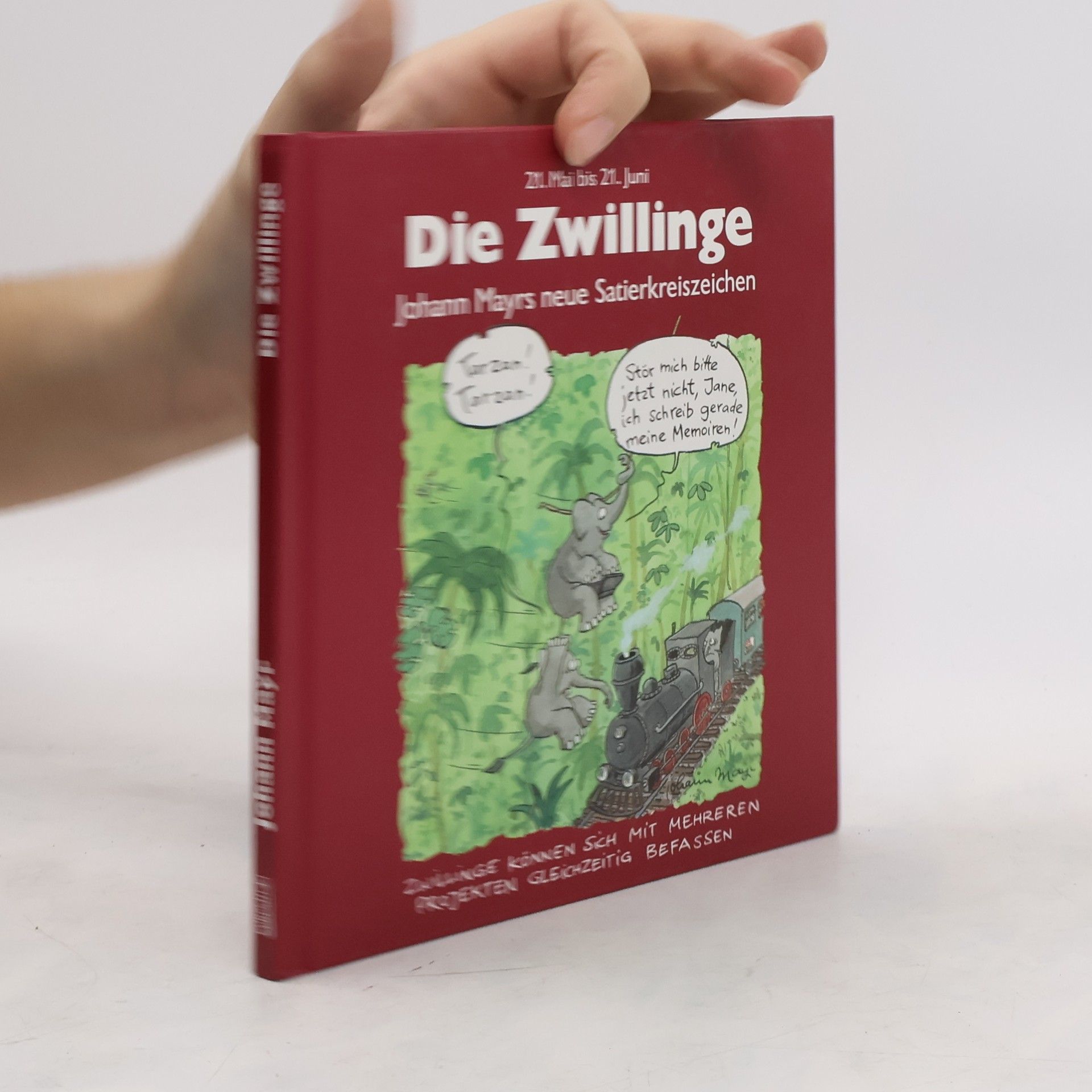 Johann Mayr Die Zwillinge