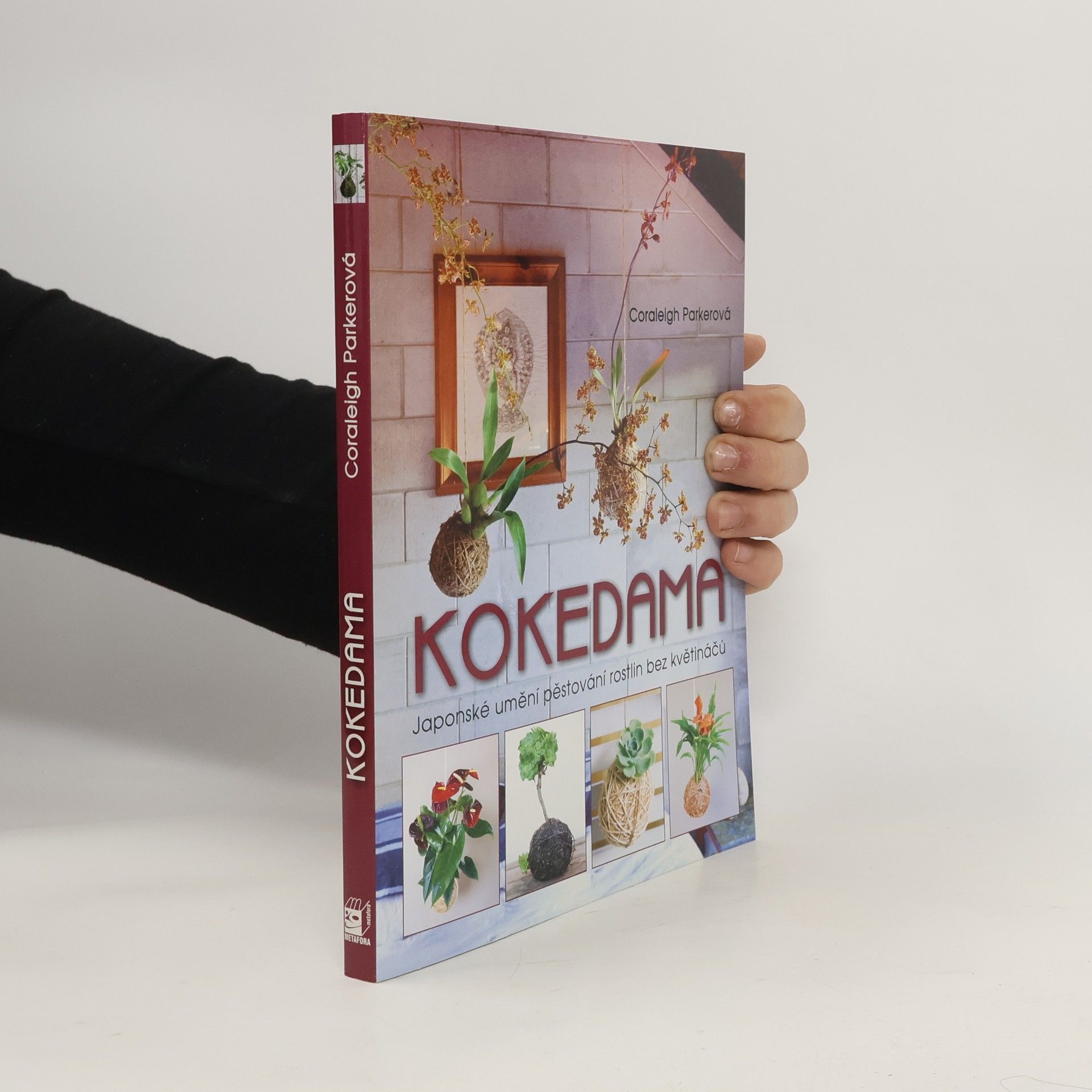 Coraleigh Parker Kokedama - Japonské umění pěstování rostlin bez květináčů