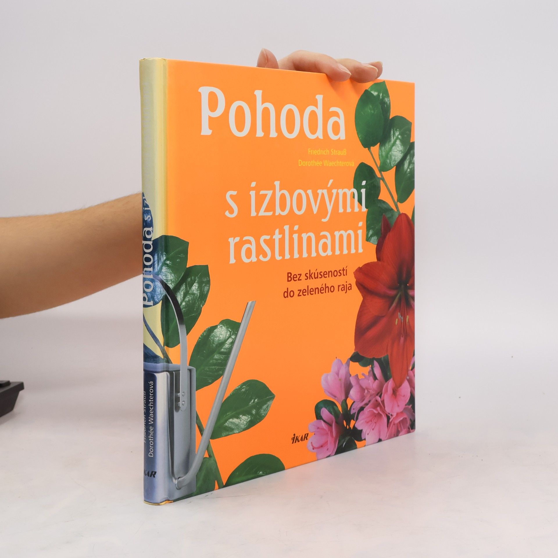Friedrich Strauß Pohoda s izbovými rastlinami