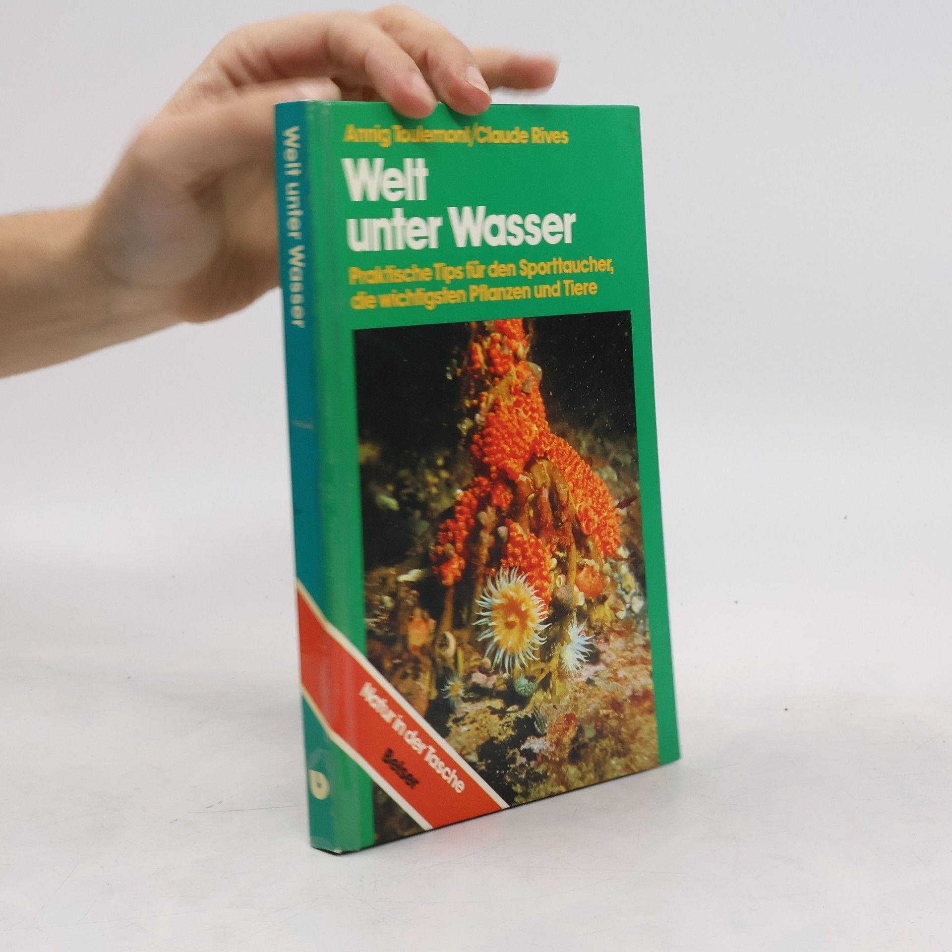 Annig Toulemont Welt unter Wasser