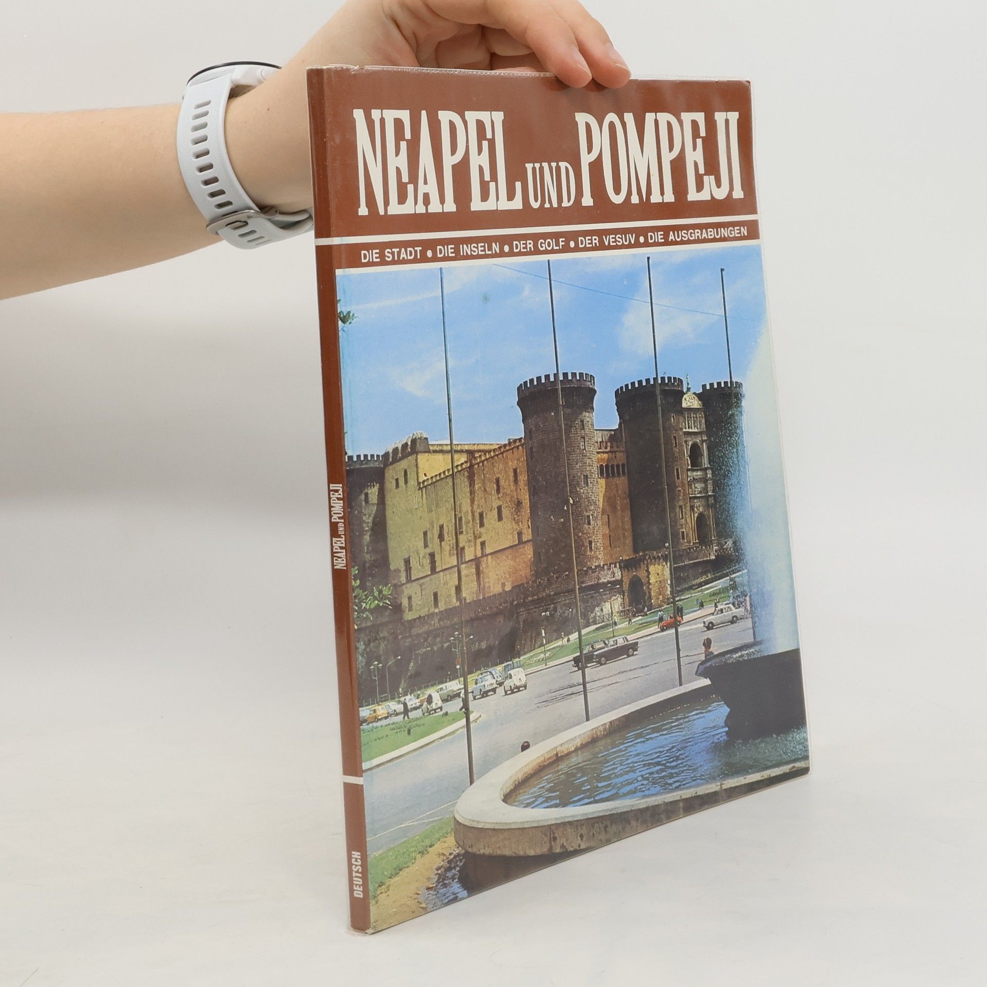 Domenico Rea Neapel und Pompeji