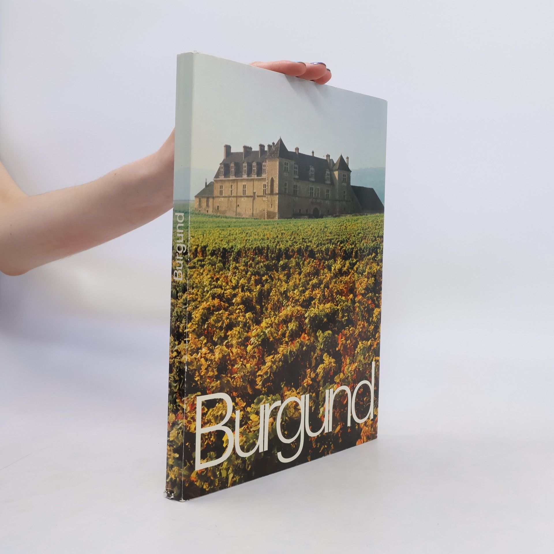 kolektiv Burgund