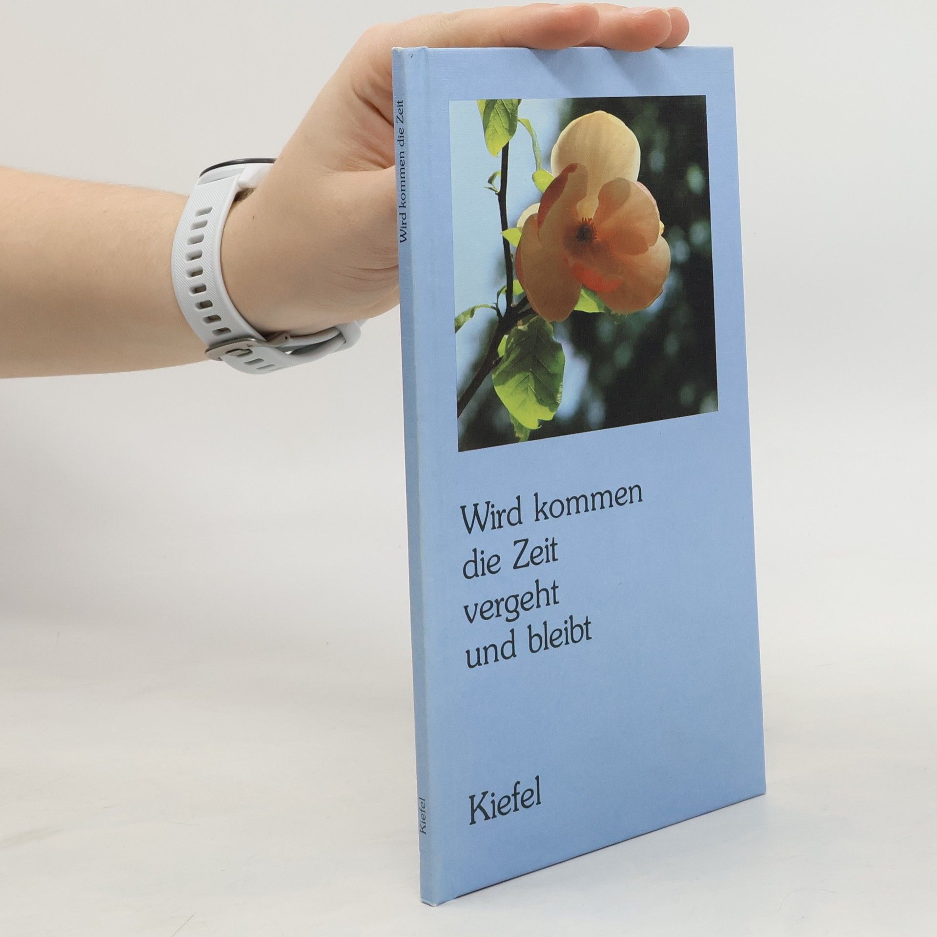 Hanna Barnhelm Wird kommen die Zeit vergeht und bleibt