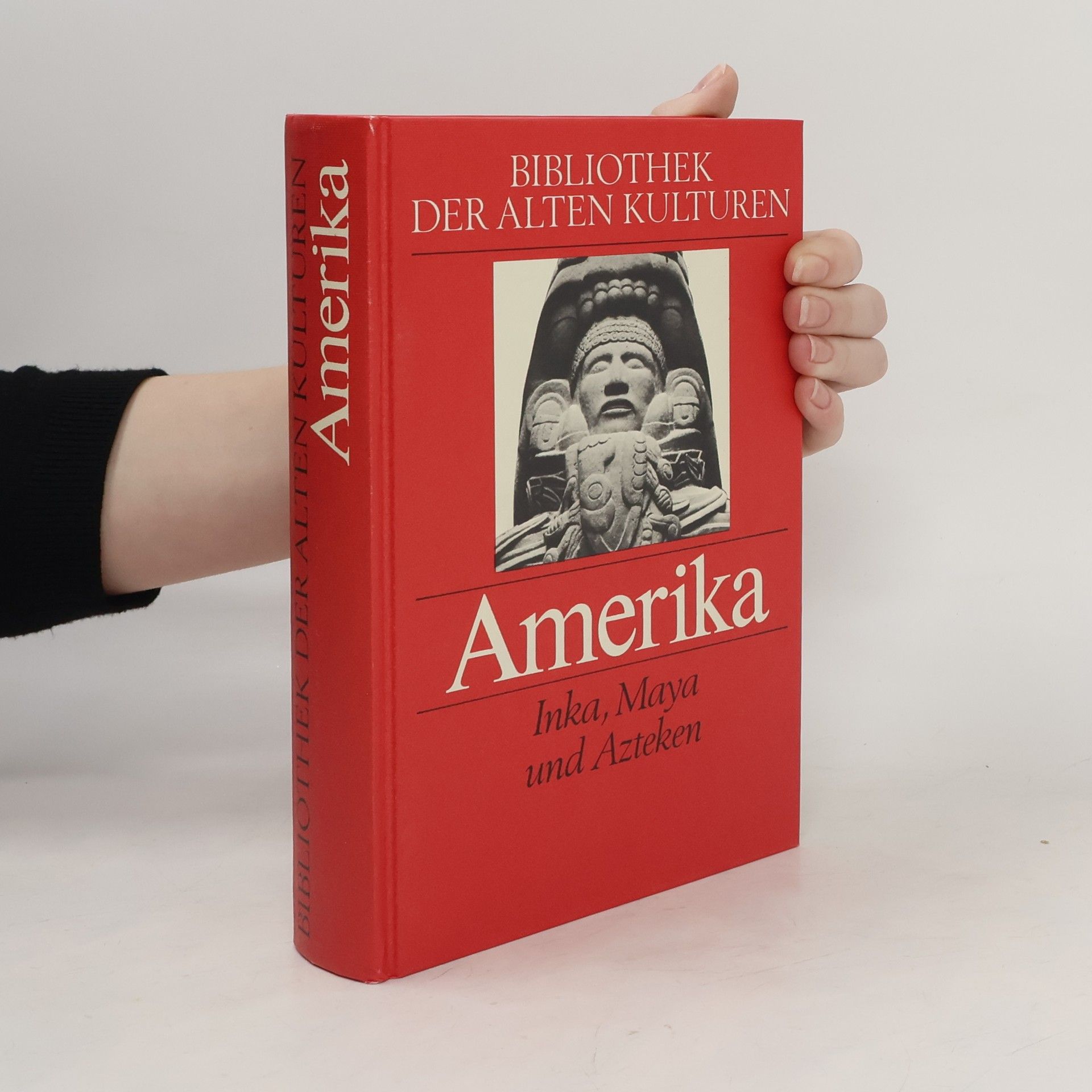 Kolektív autorov Amerika