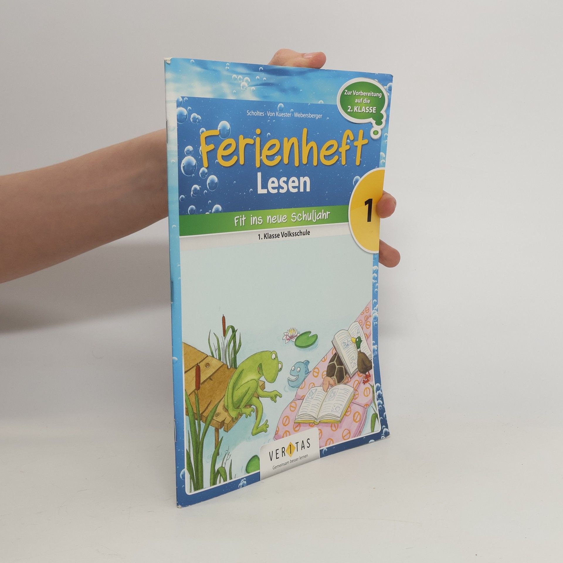 Cornelia Scholtes Ferienheft Lesen 1. Klasse Volksschule