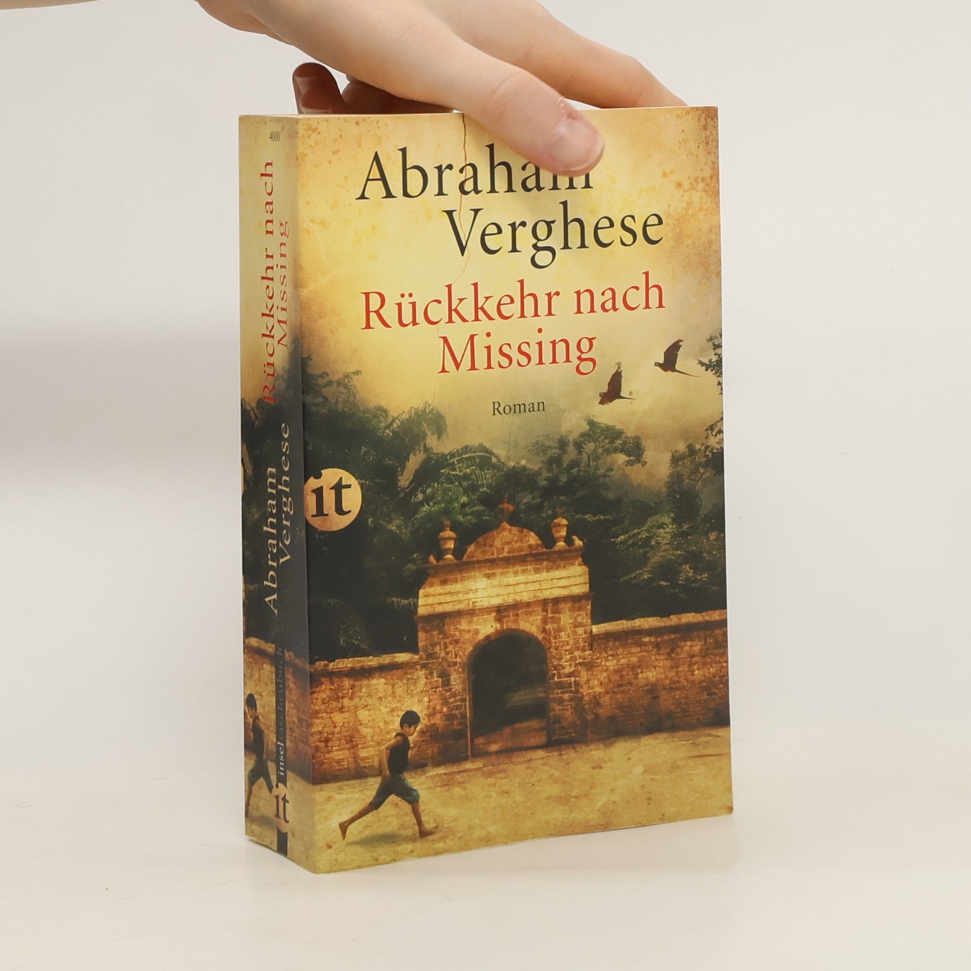 Abraham Verghese Rückkehr nach Missing