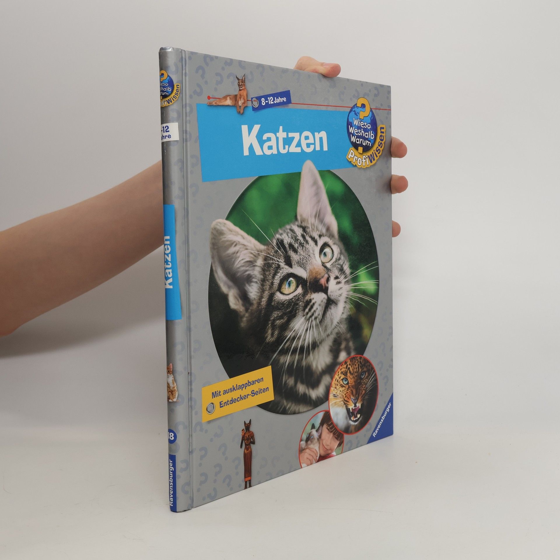 Andrea Schwendemann Katzen