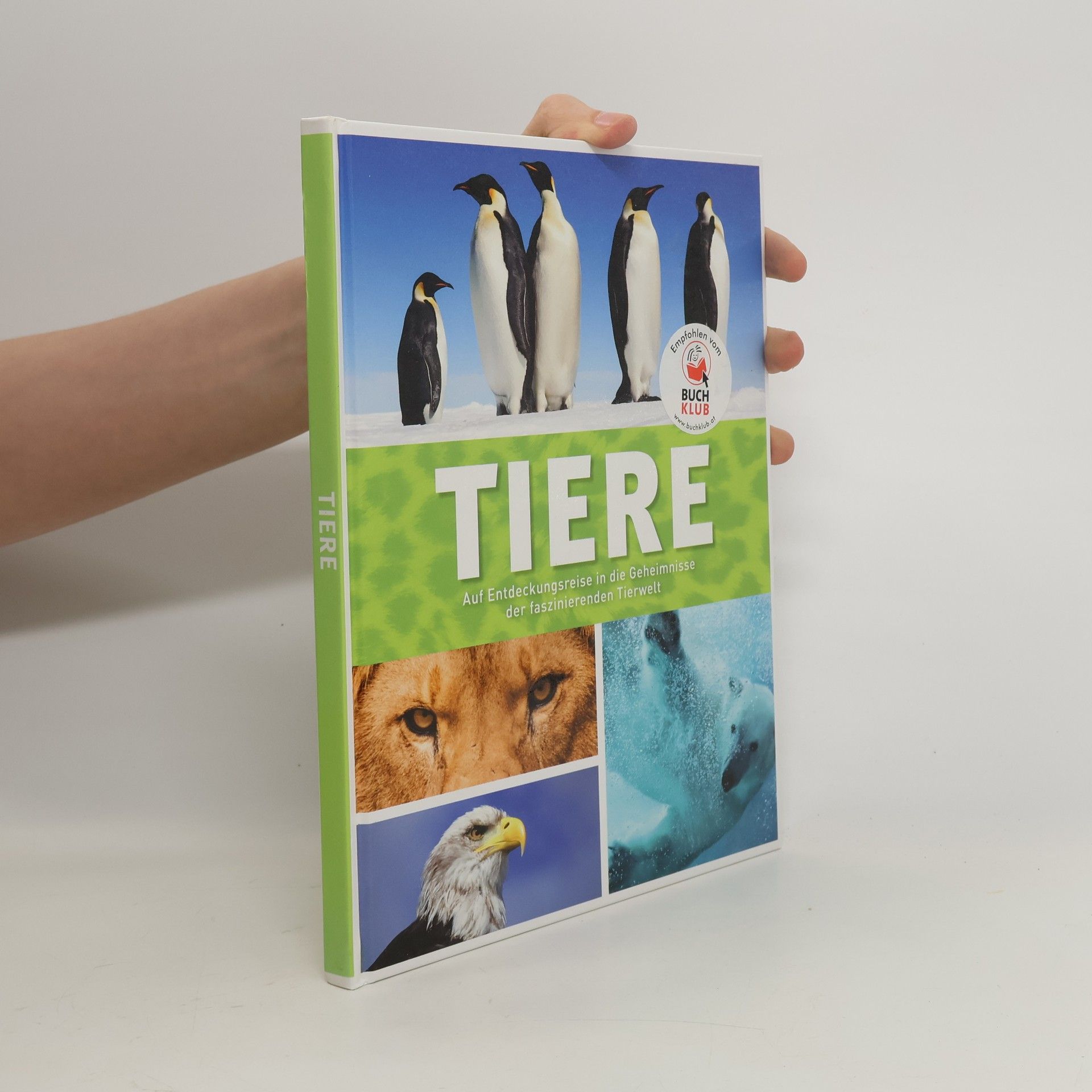 kolektiv Tiere