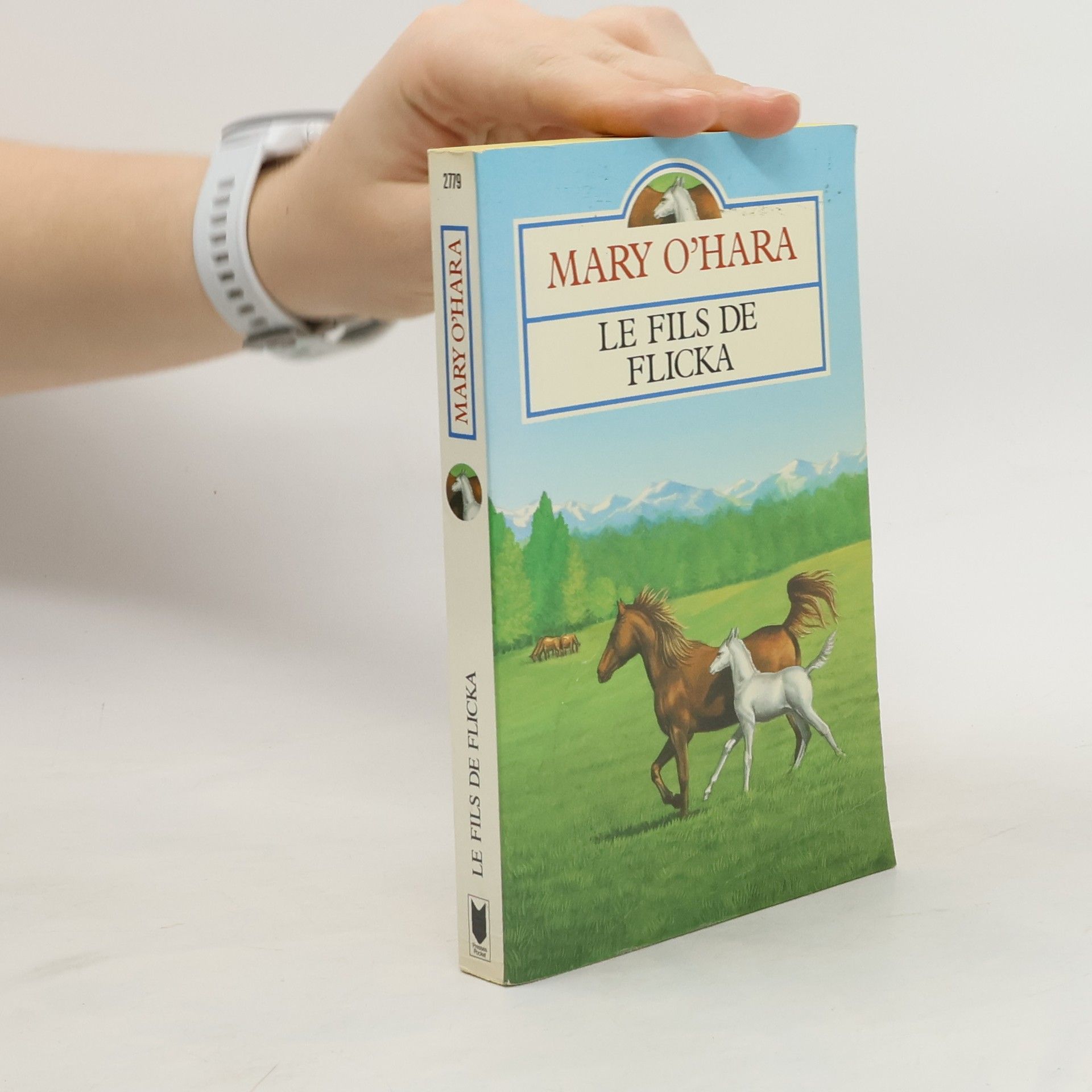 Mary O'Hara Le fils de Flicka