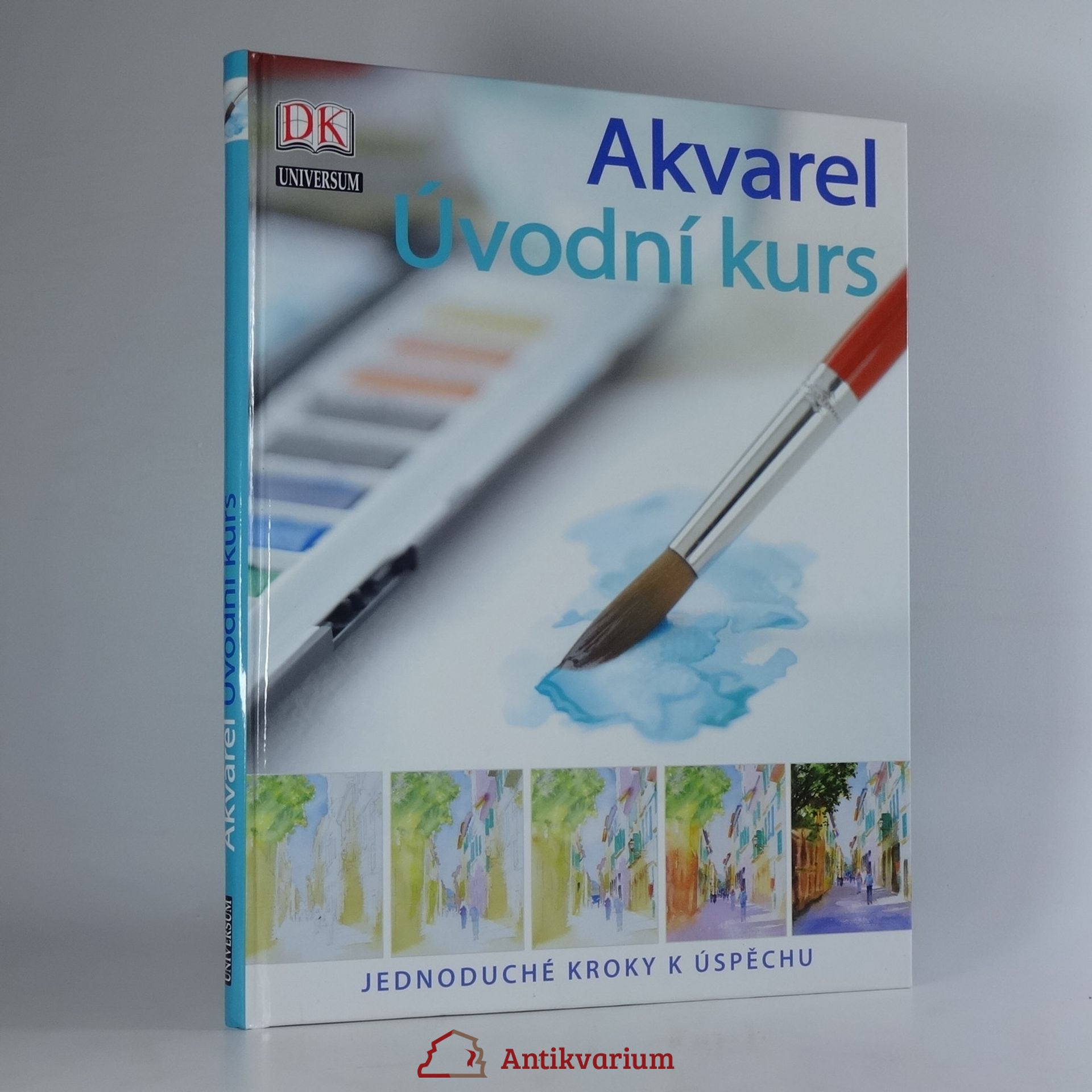 Glynis Barnes Mellish Akvarel : úvodní kurs