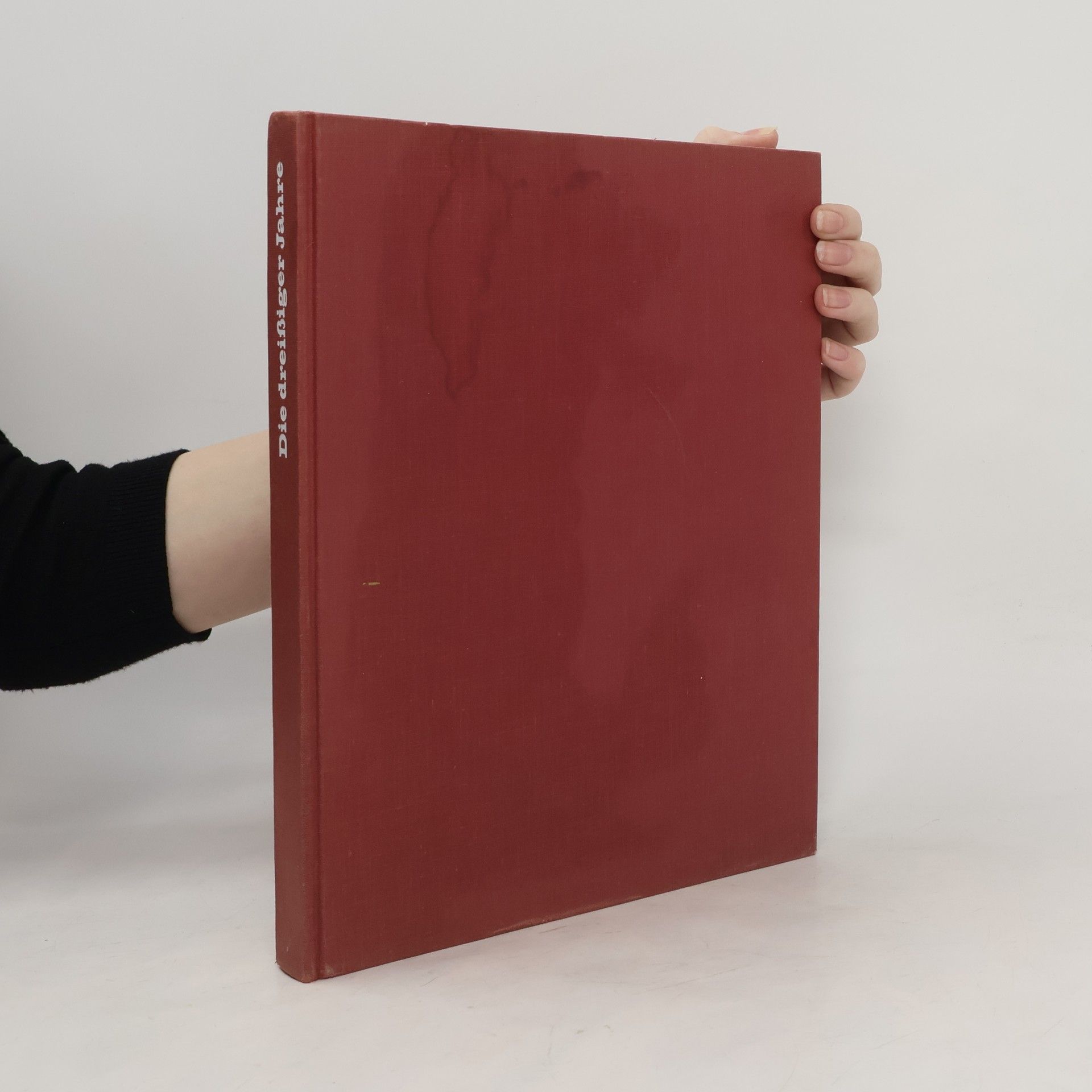 Auteurscollectief Die Dreissiger Jahre