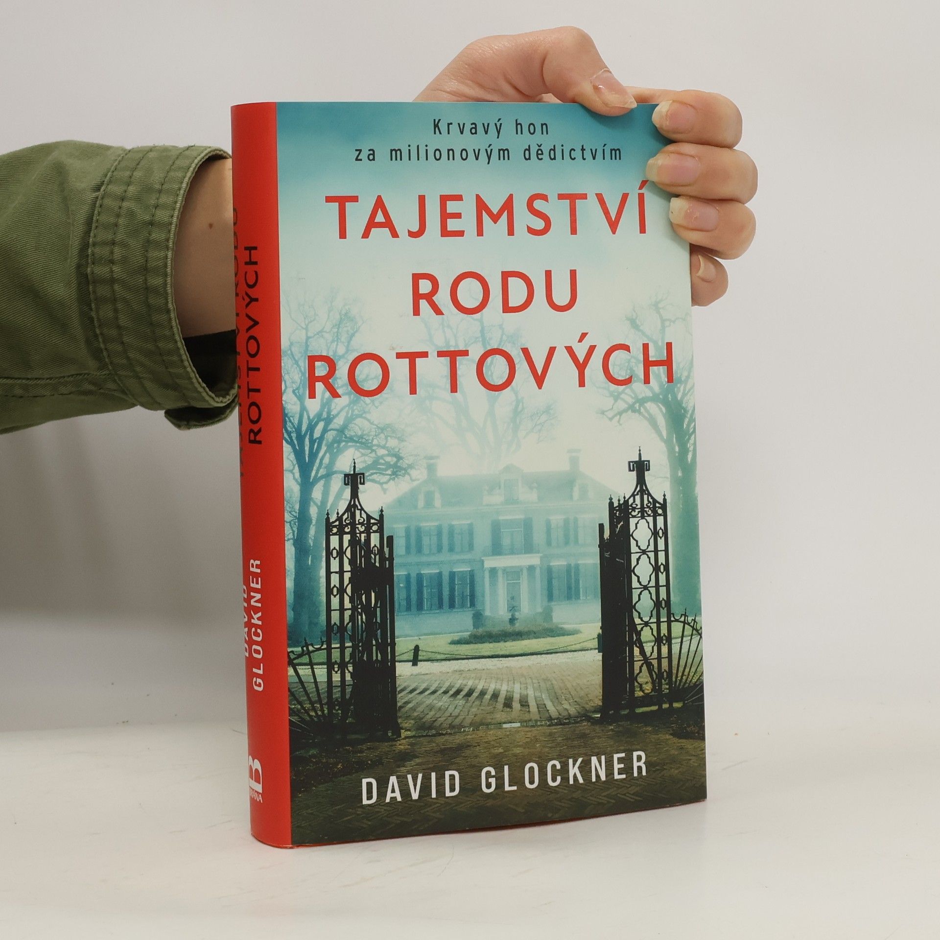 David Glockner Tajemství rodu Rottových