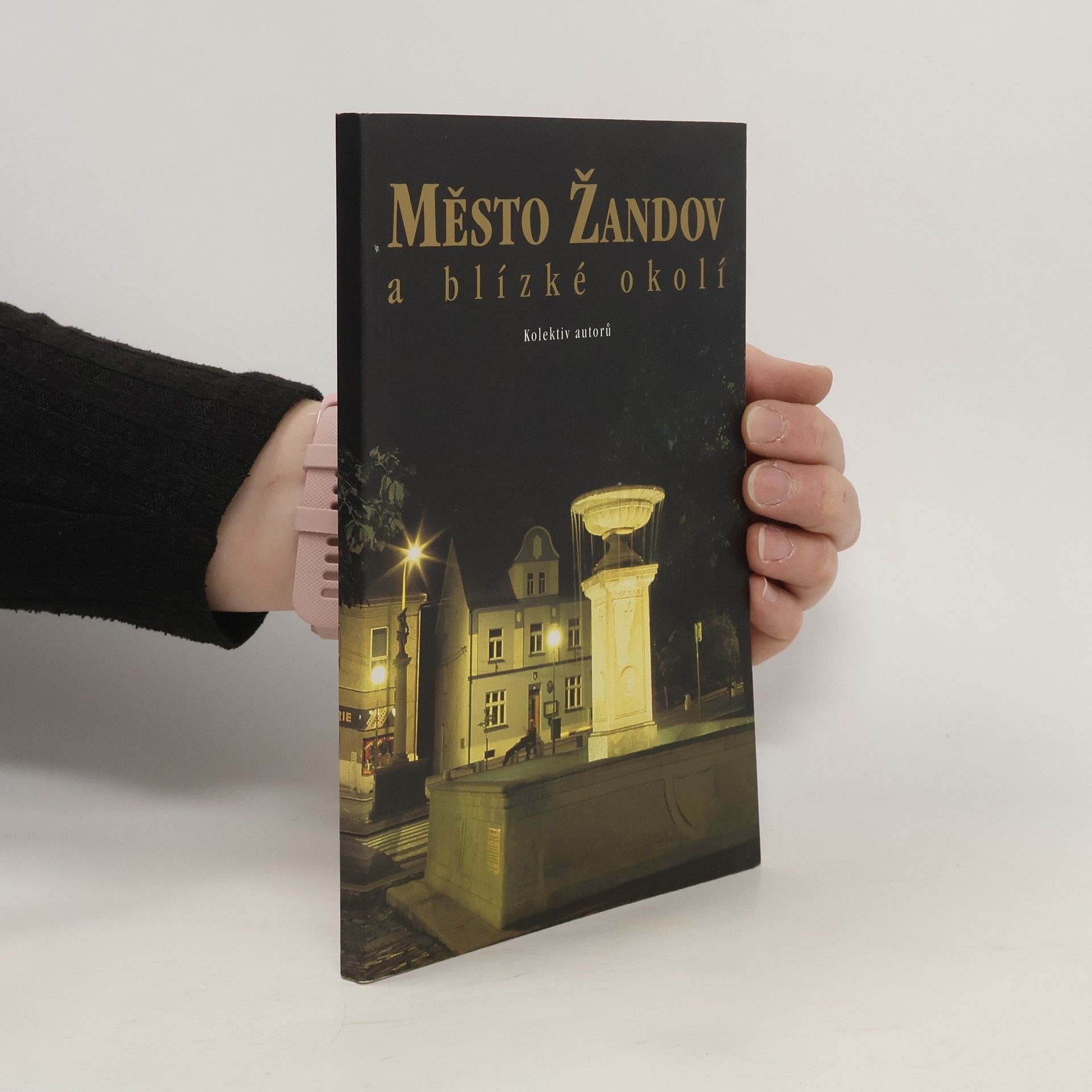 Kolektív autorov Město Žandov a blízké okolí