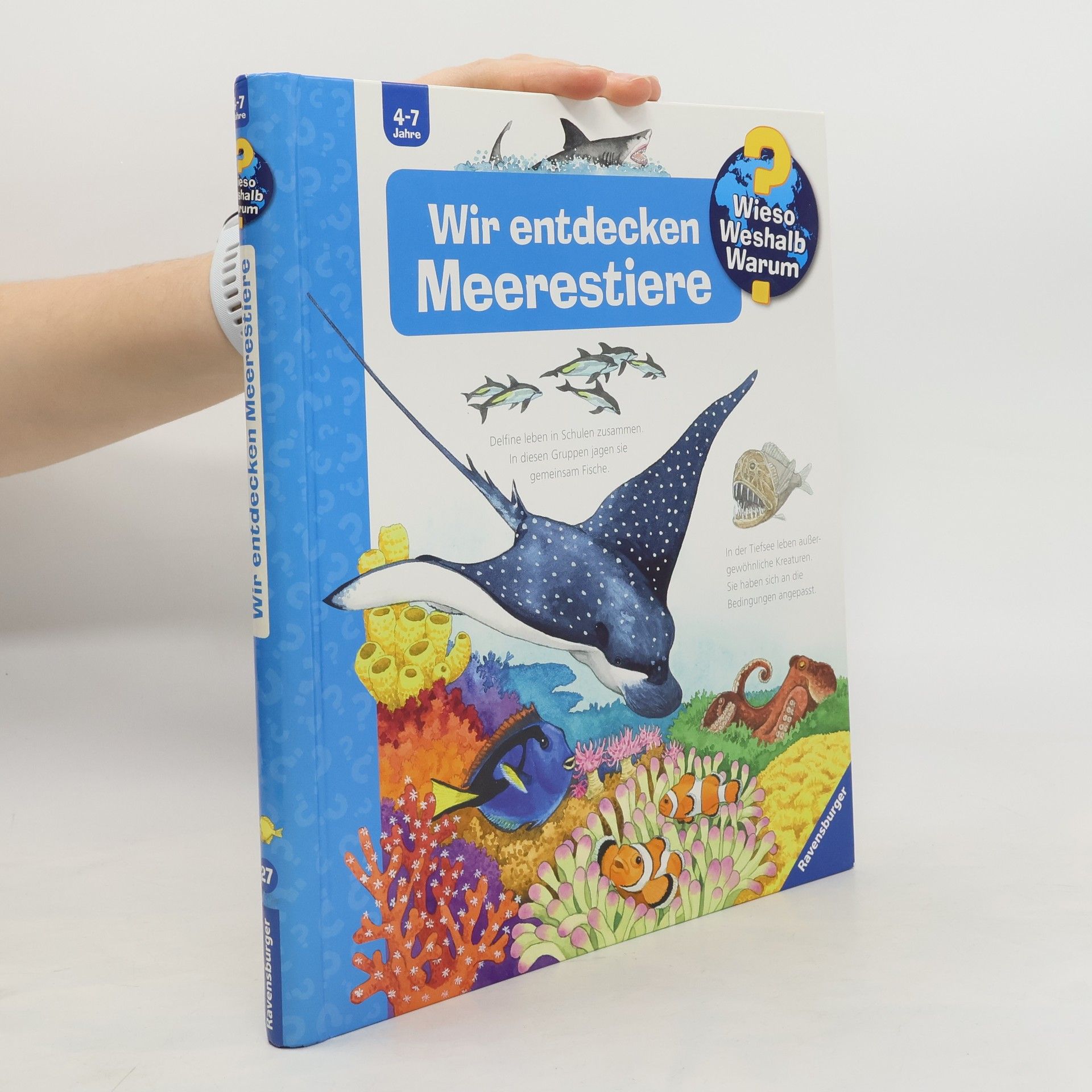 Anne Ebert Wir entdecken Meerestiere