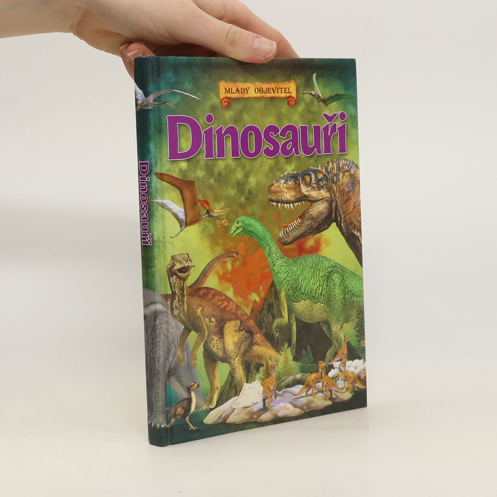 kolektiv Dinosauři