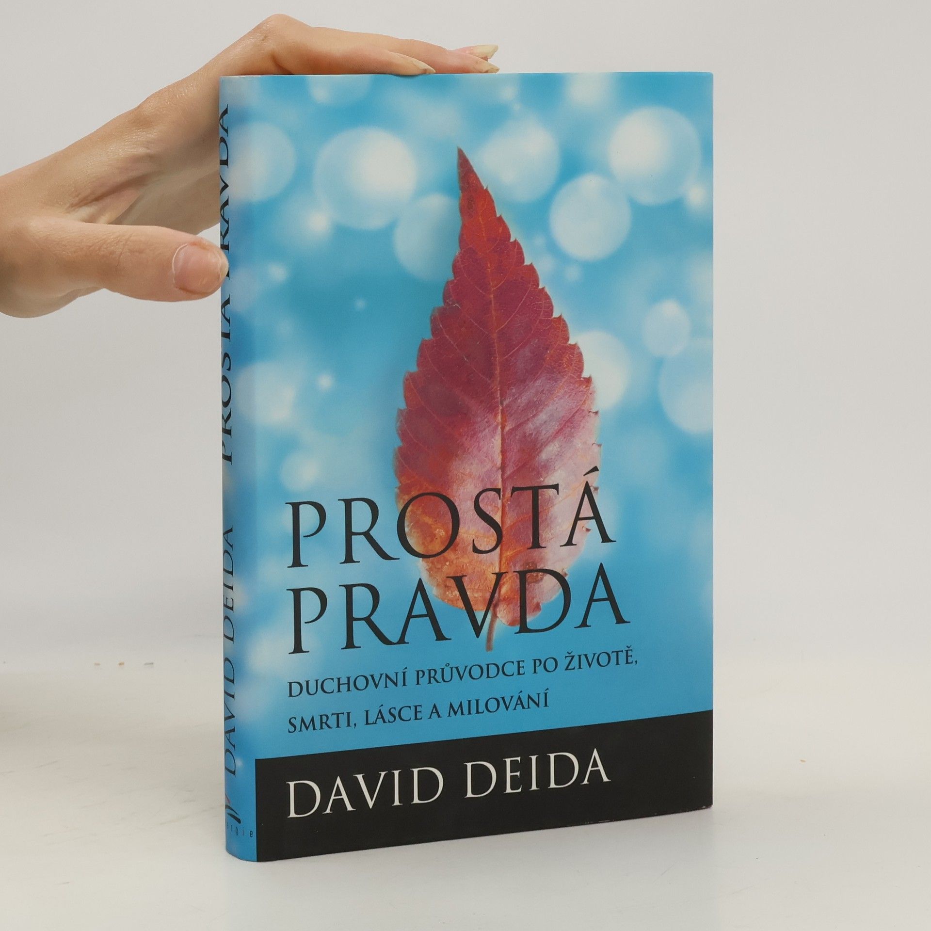 David Deida Prostá pravda
