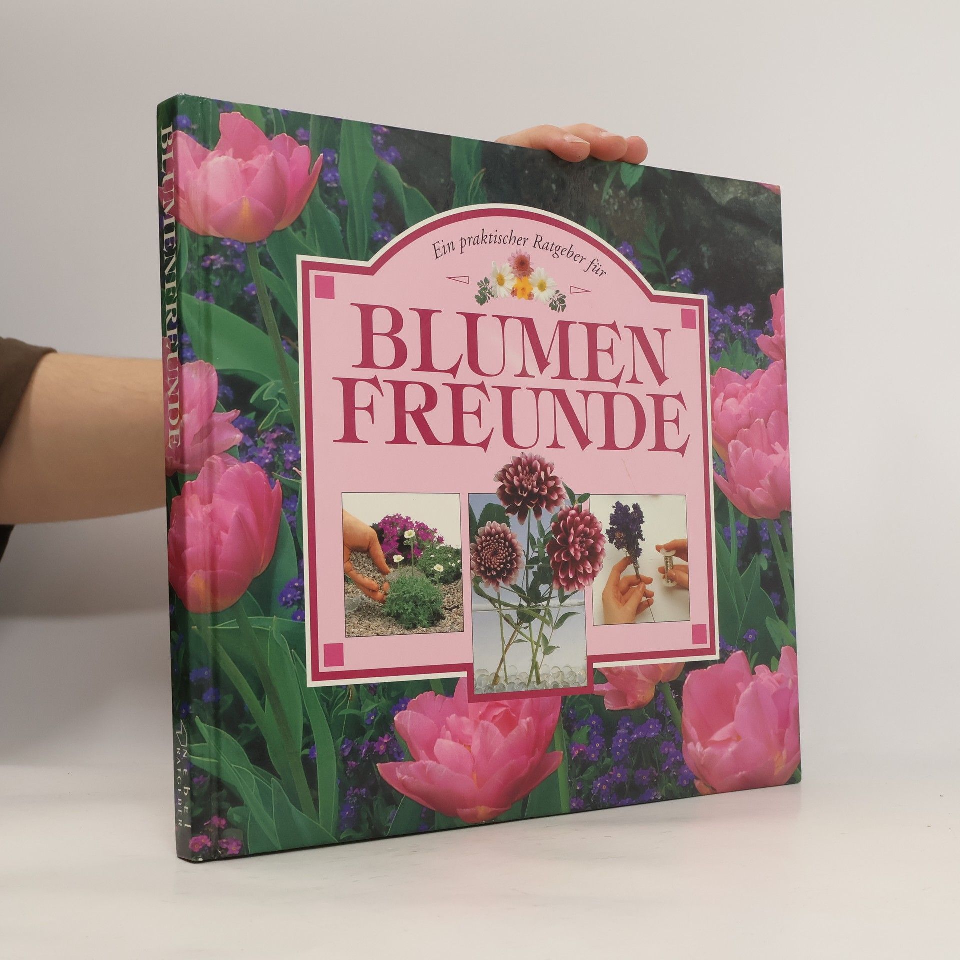 Neil Sutherland Ein praktischer Ratgeber für Blumenfreunde