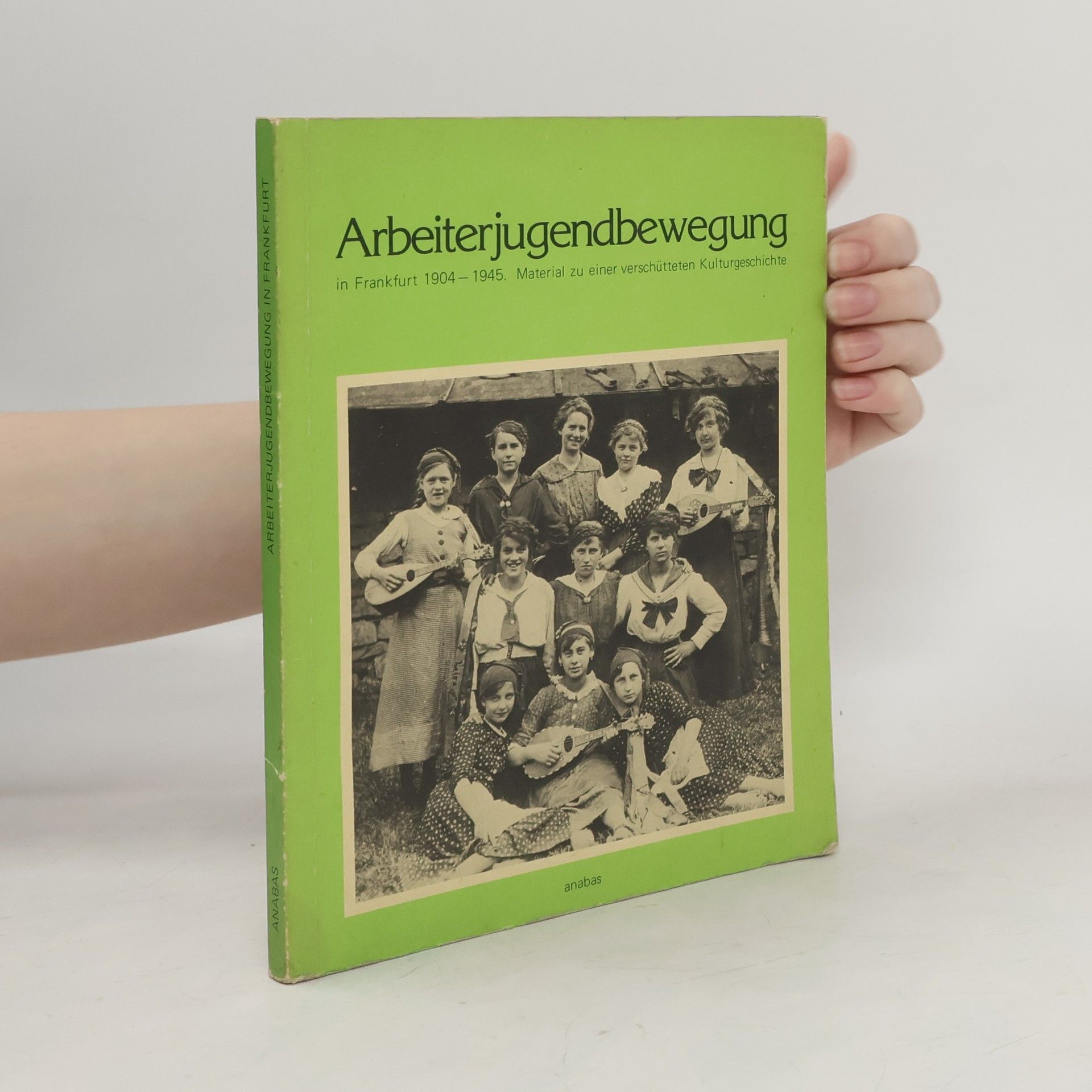 Detlef Hoffmann Arbeiterjugendbewegung in Frankfurt 1904 - 1945