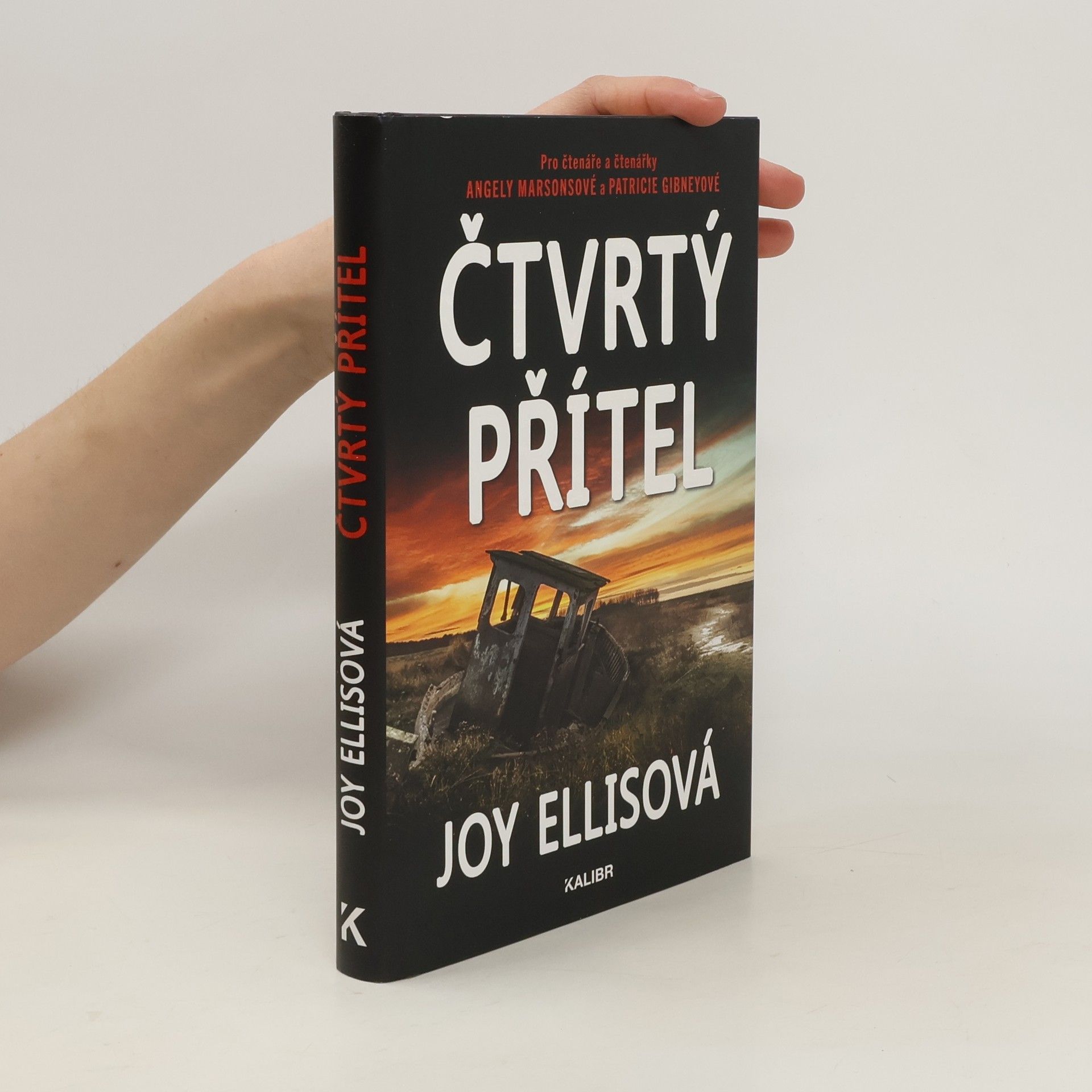 Joy Ellis Čtvrtý přítel