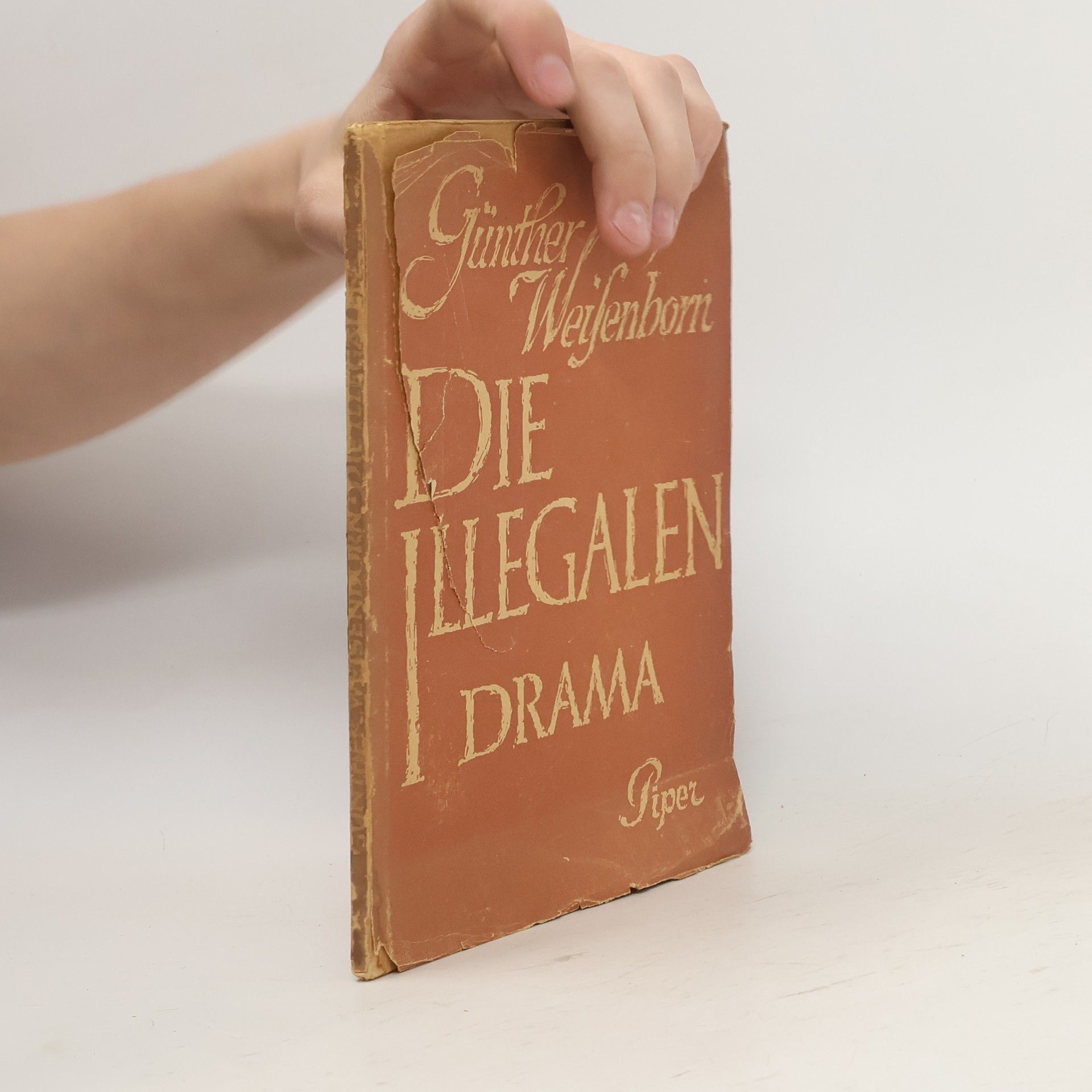 Günther Weisenborn Die Illegalen