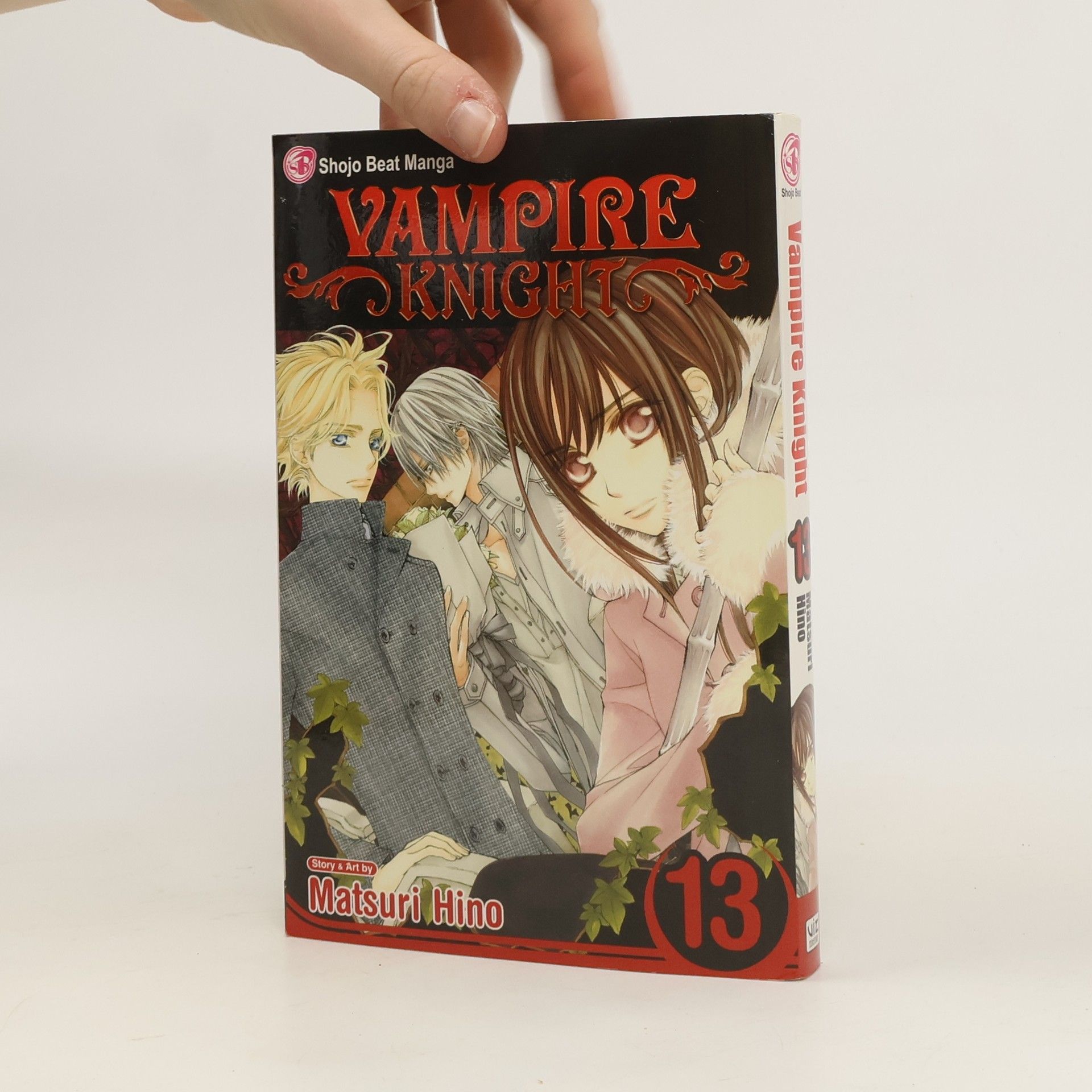 Matsuri Hino Vampire Knight, Vol. 13
